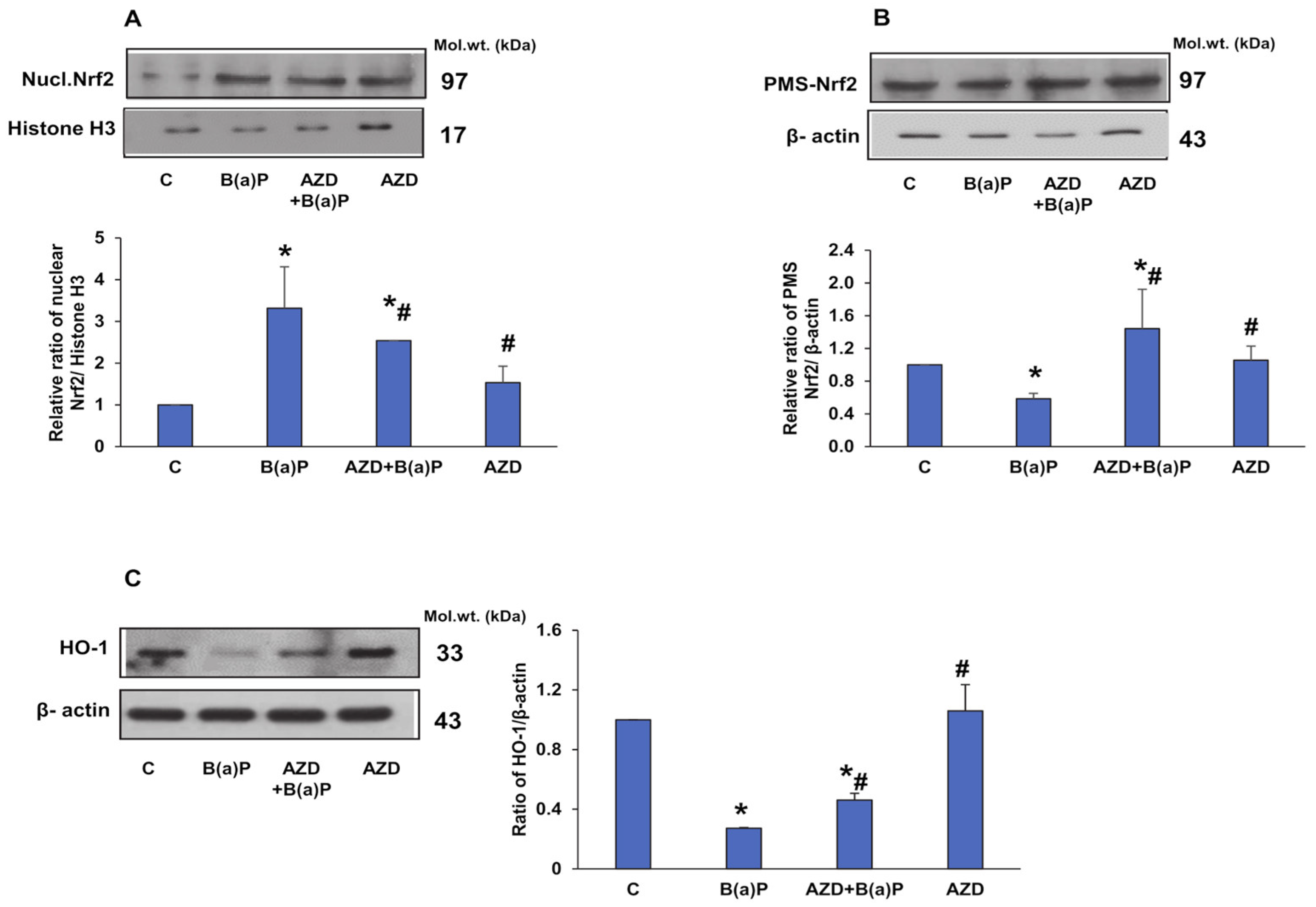 Antioxidants 12 02001 g012 Antioxidants 12 02001 g012