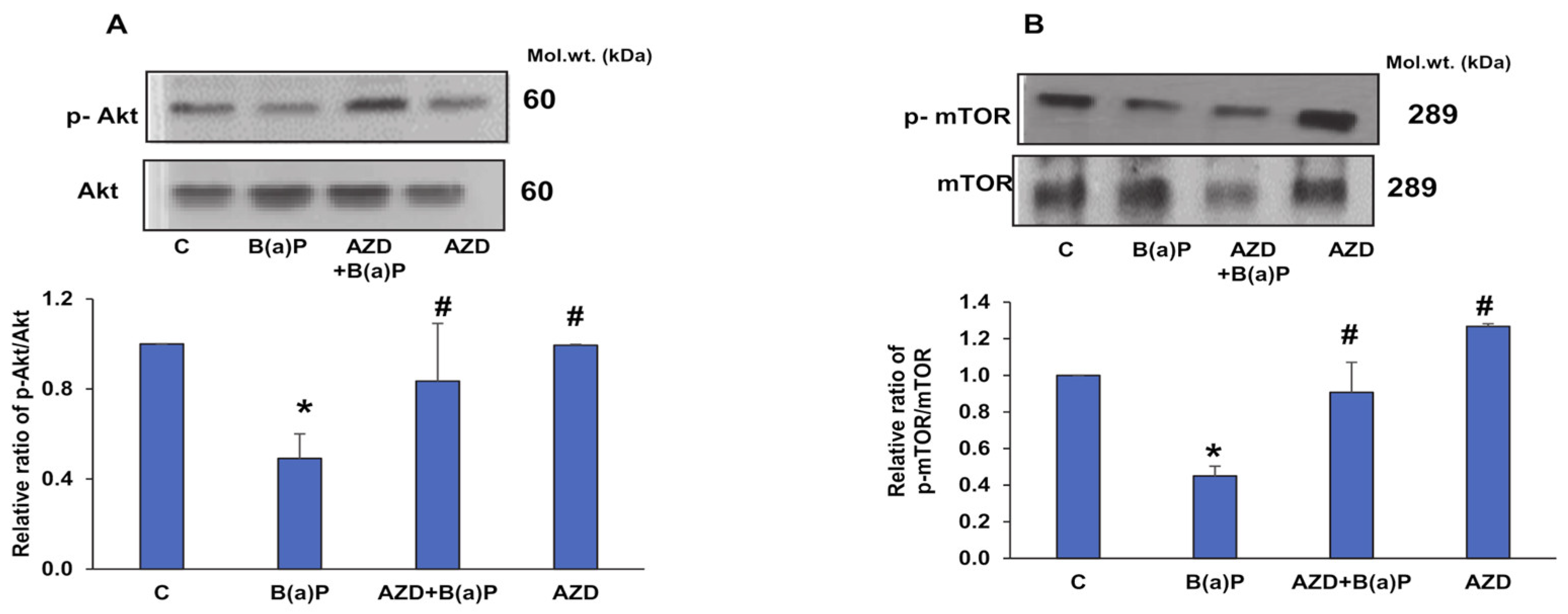 Antioxidants 12 02001 g014 Antioxidants 12 02001 g014
