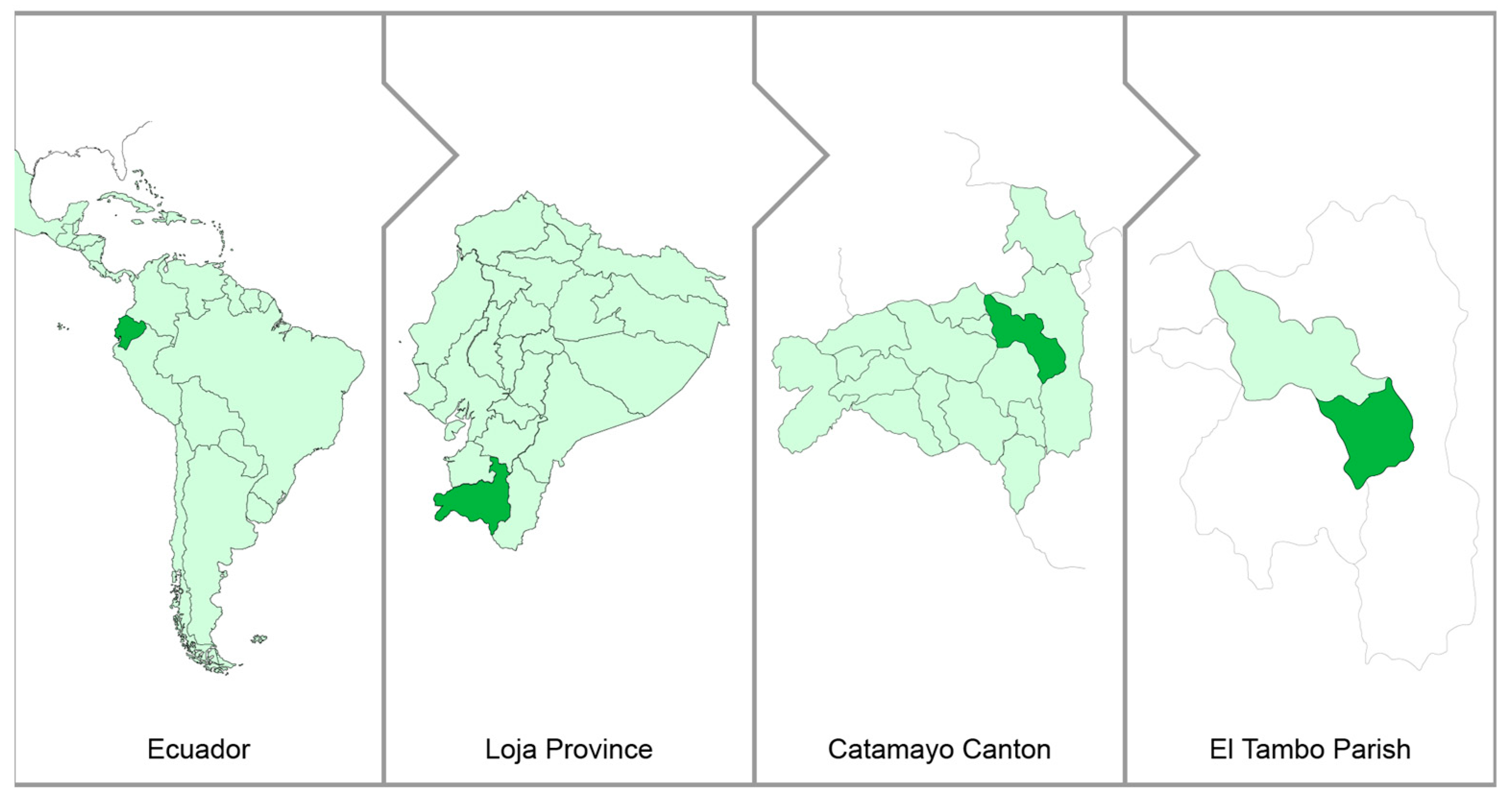Antioxidants 12 02003 g001 Antioxidants 12 02003 g001