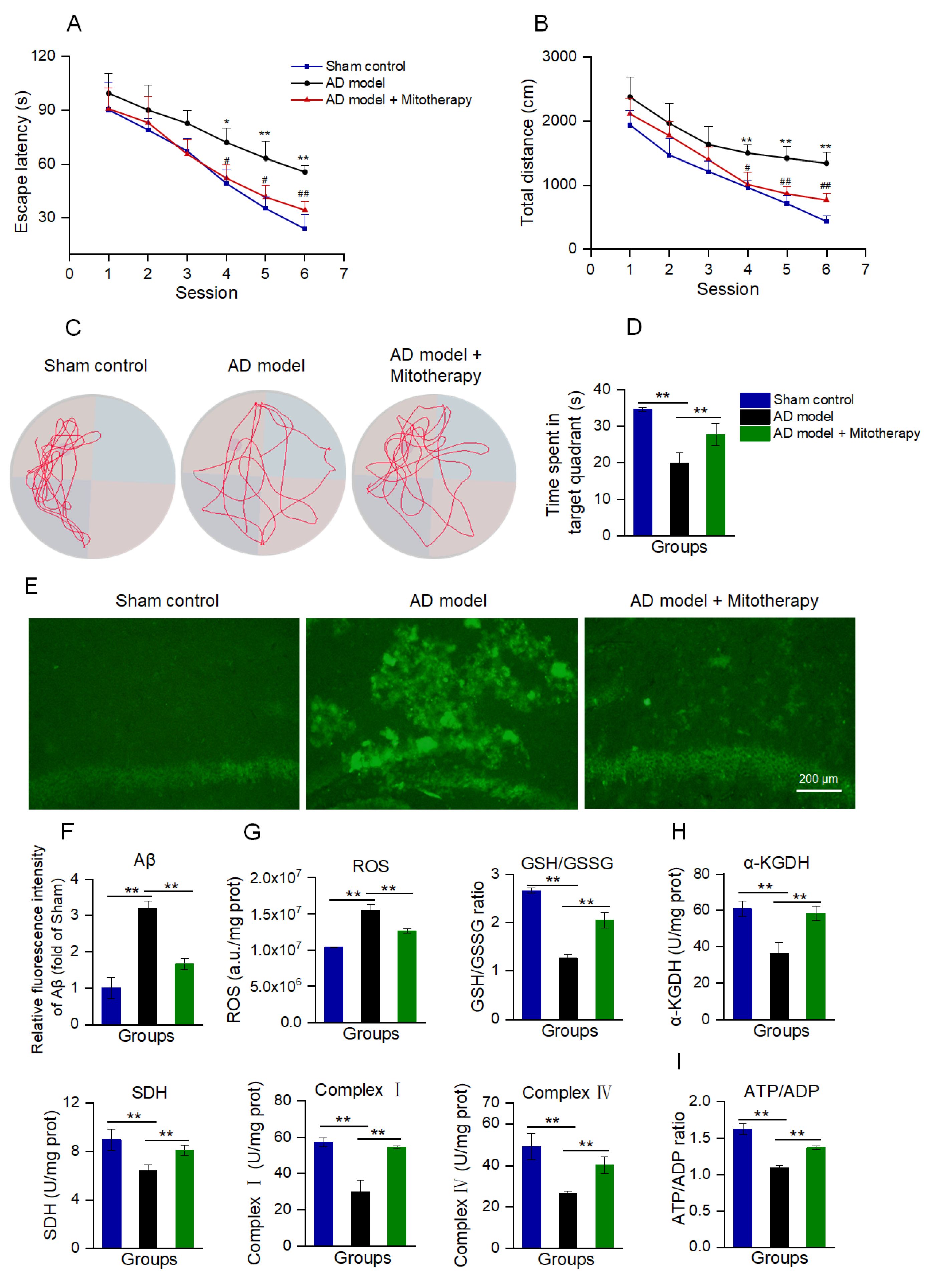 Antioxidants 12 02006 g007