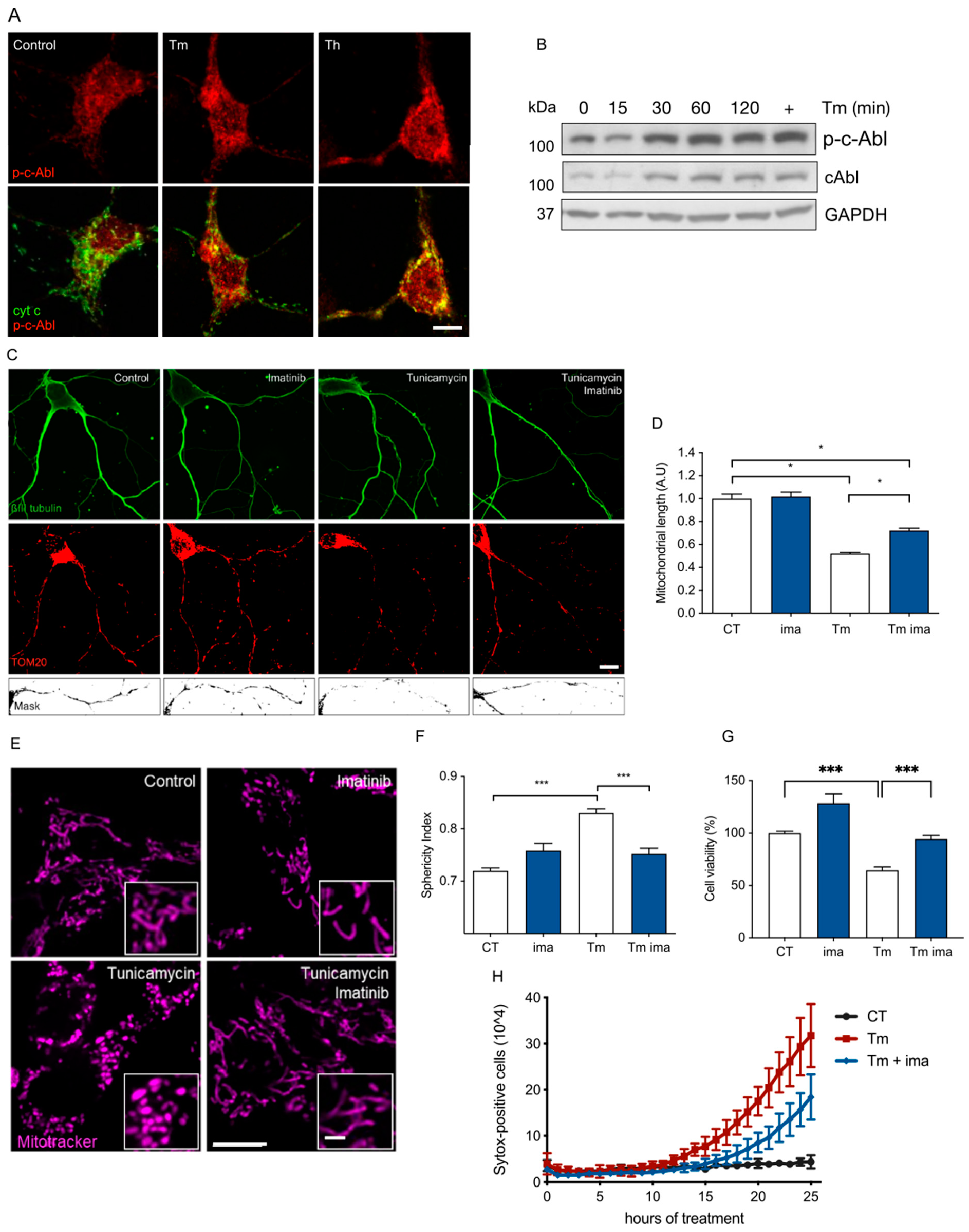 Antioxidants 12 02007 g001