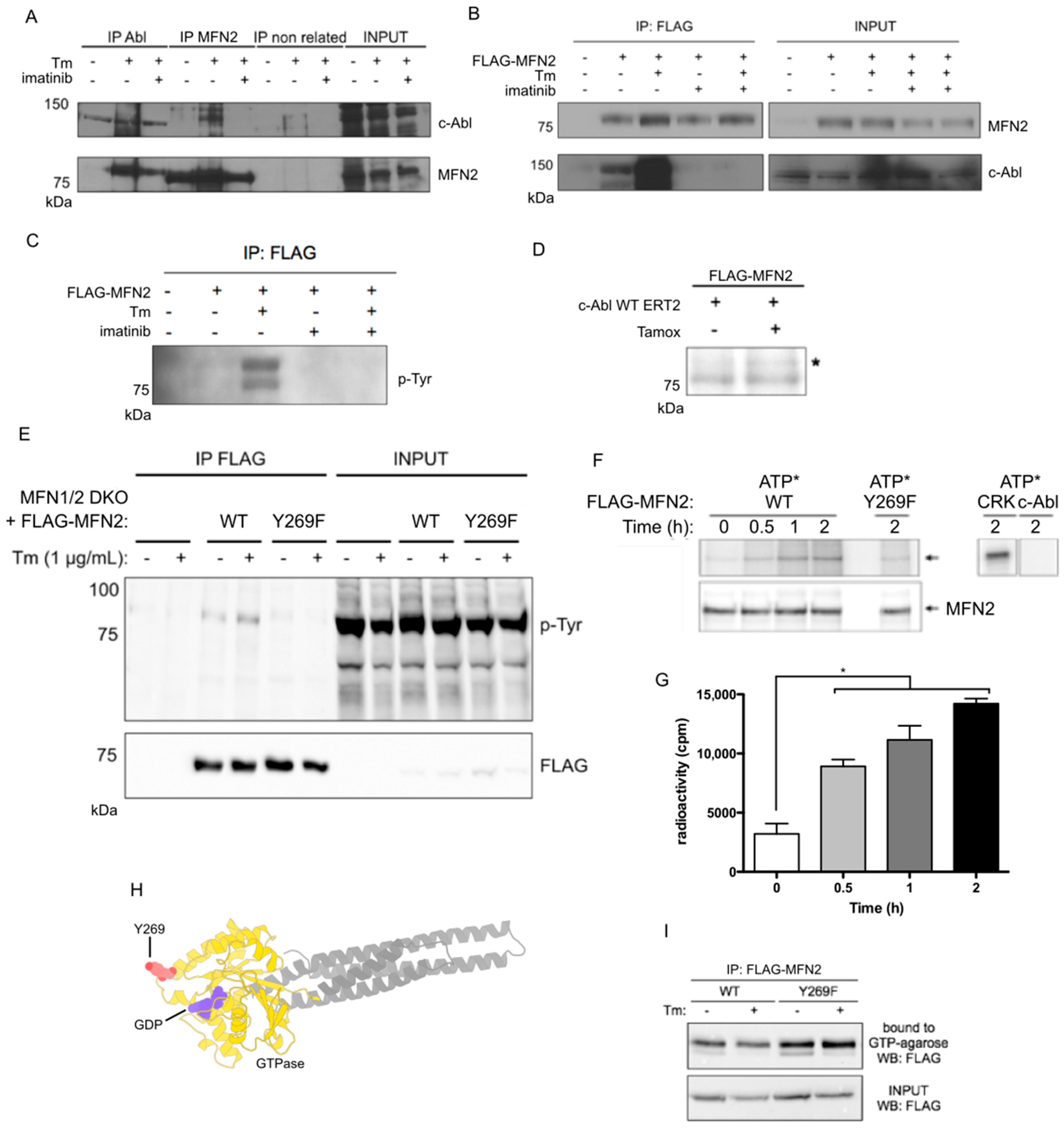 Antioxidants 12 02007 g004