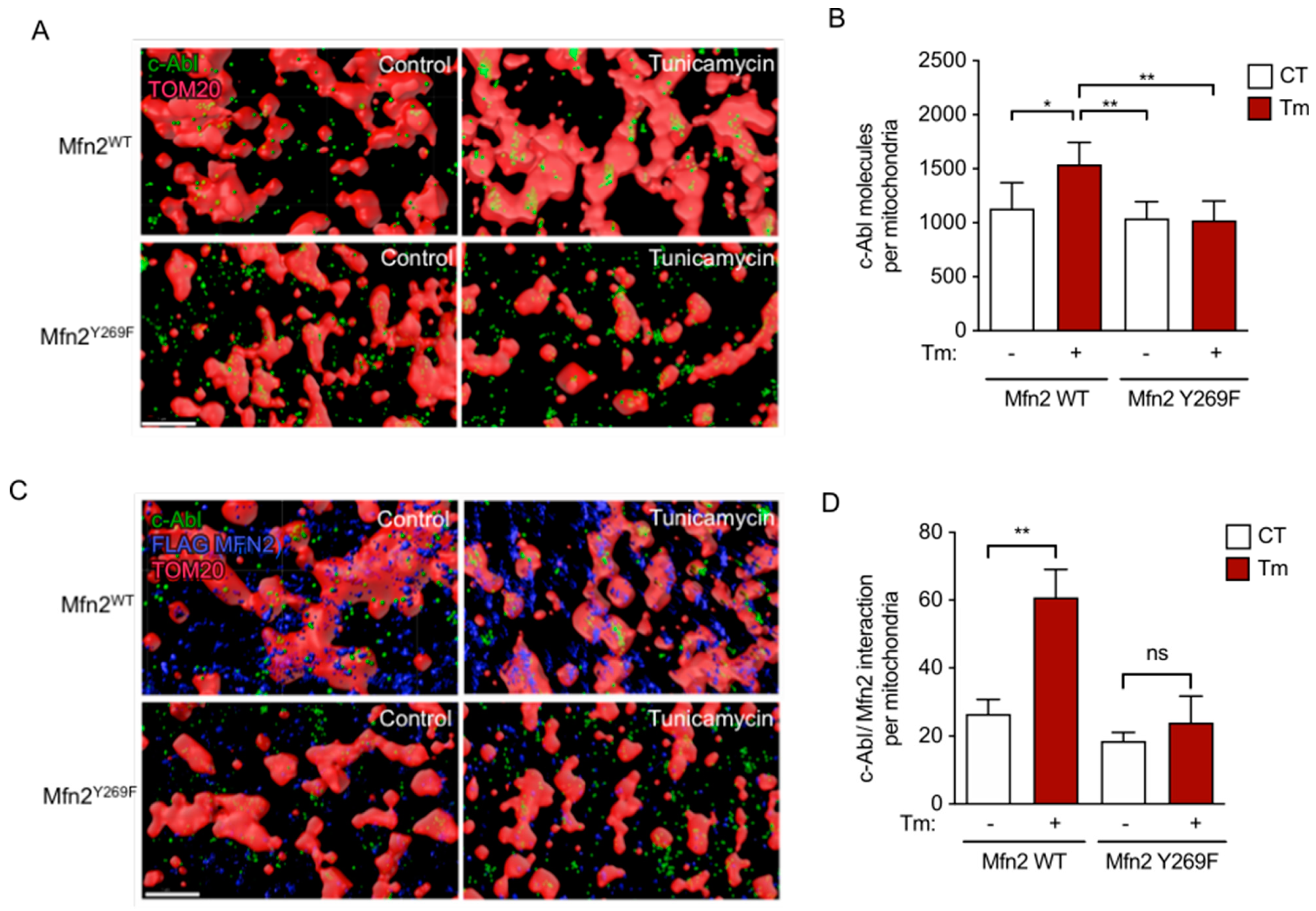 Antioxidants 12 02007 g005