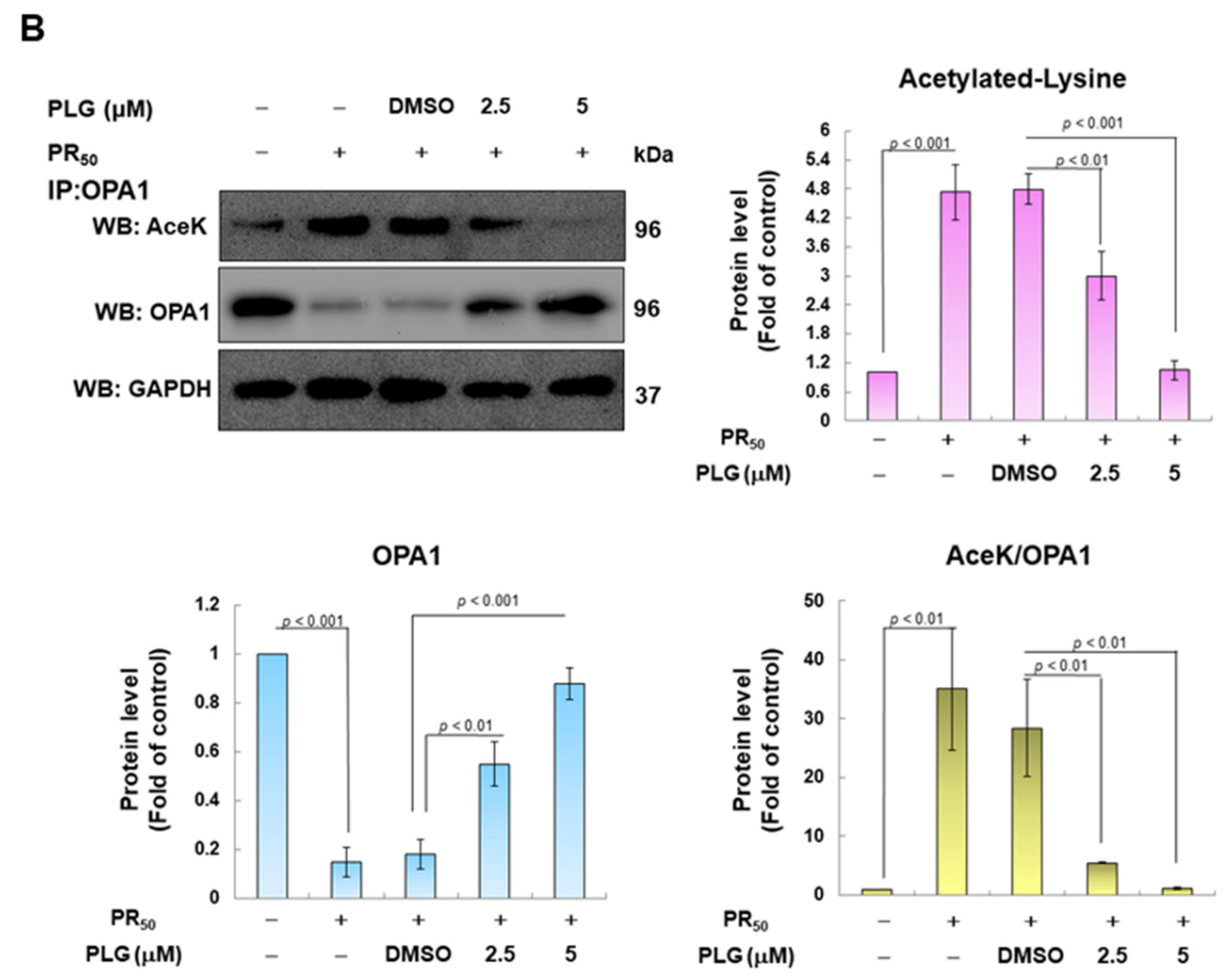 Antioxidants 12 02008 g005b
