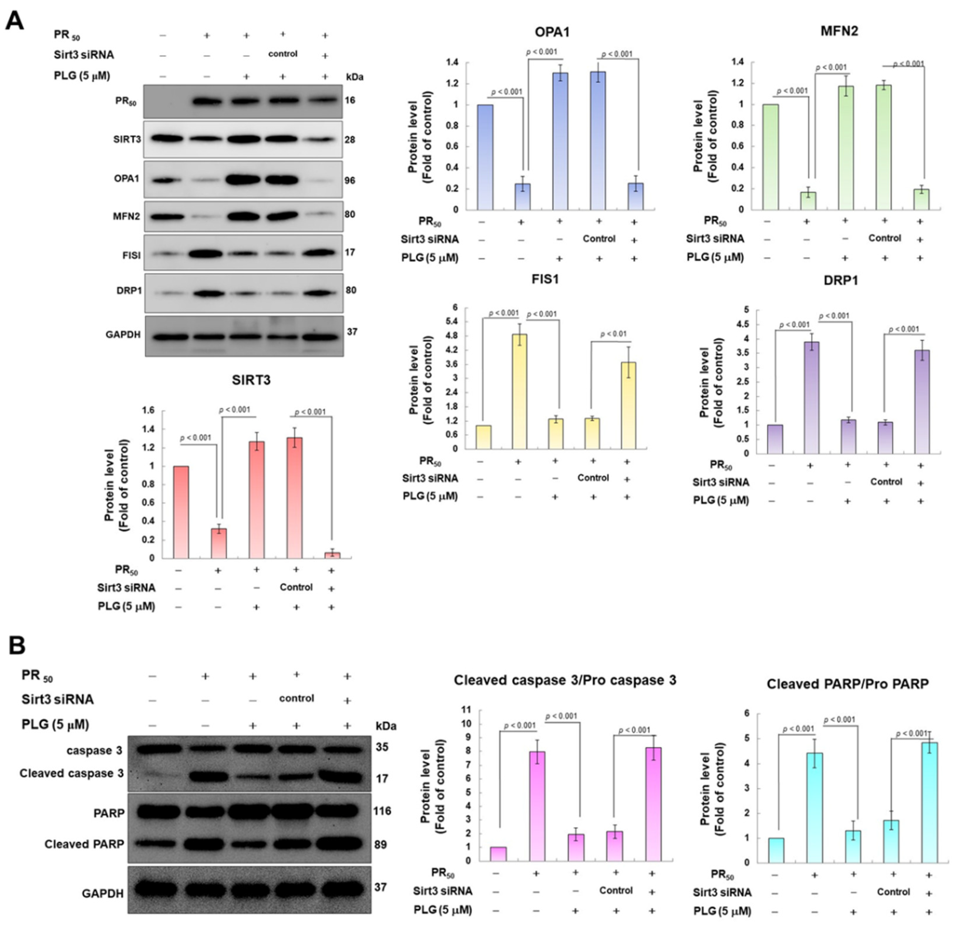 Antioxidants 12 02008 g006