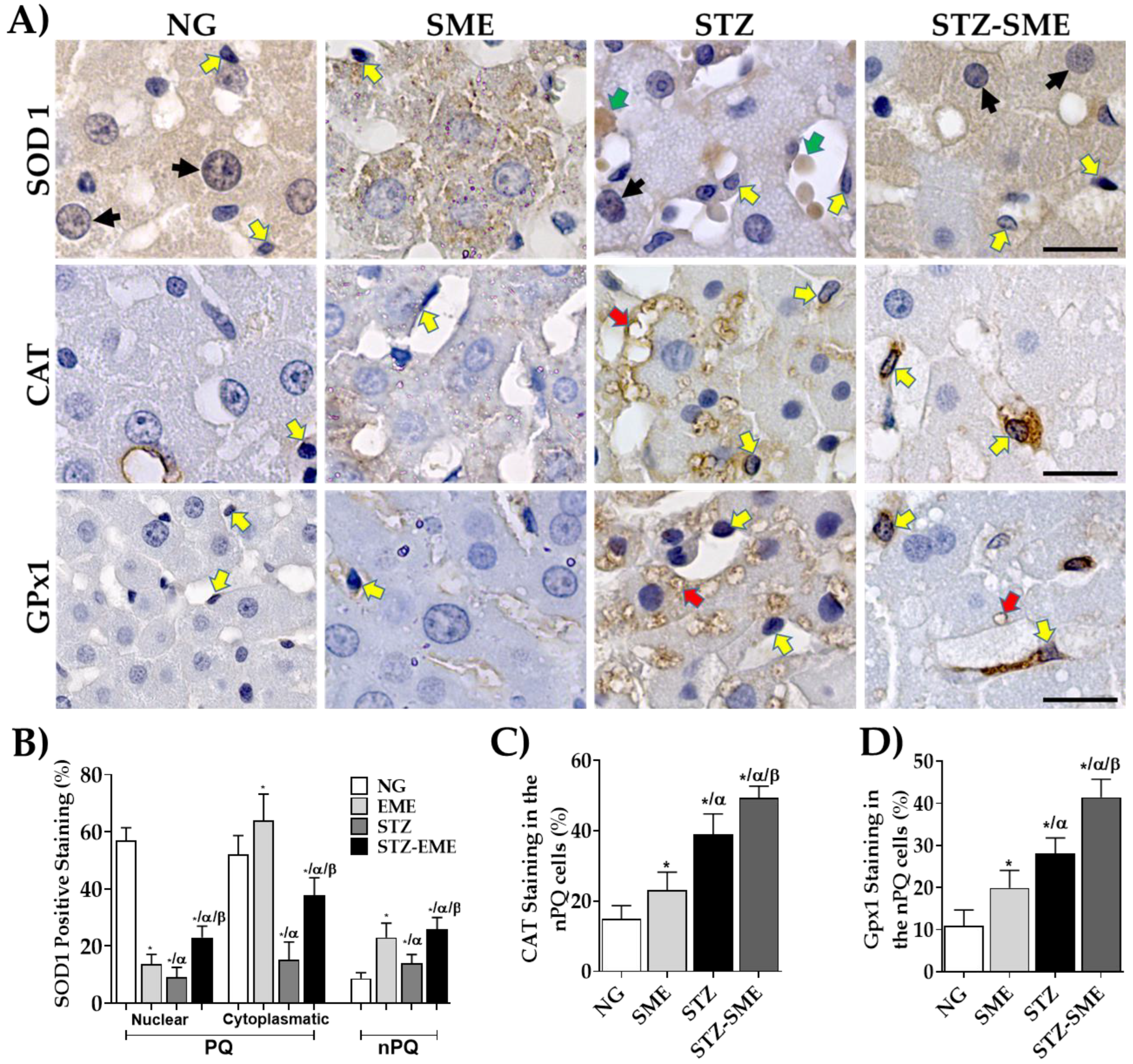 Antioxidants 12 02013 g003