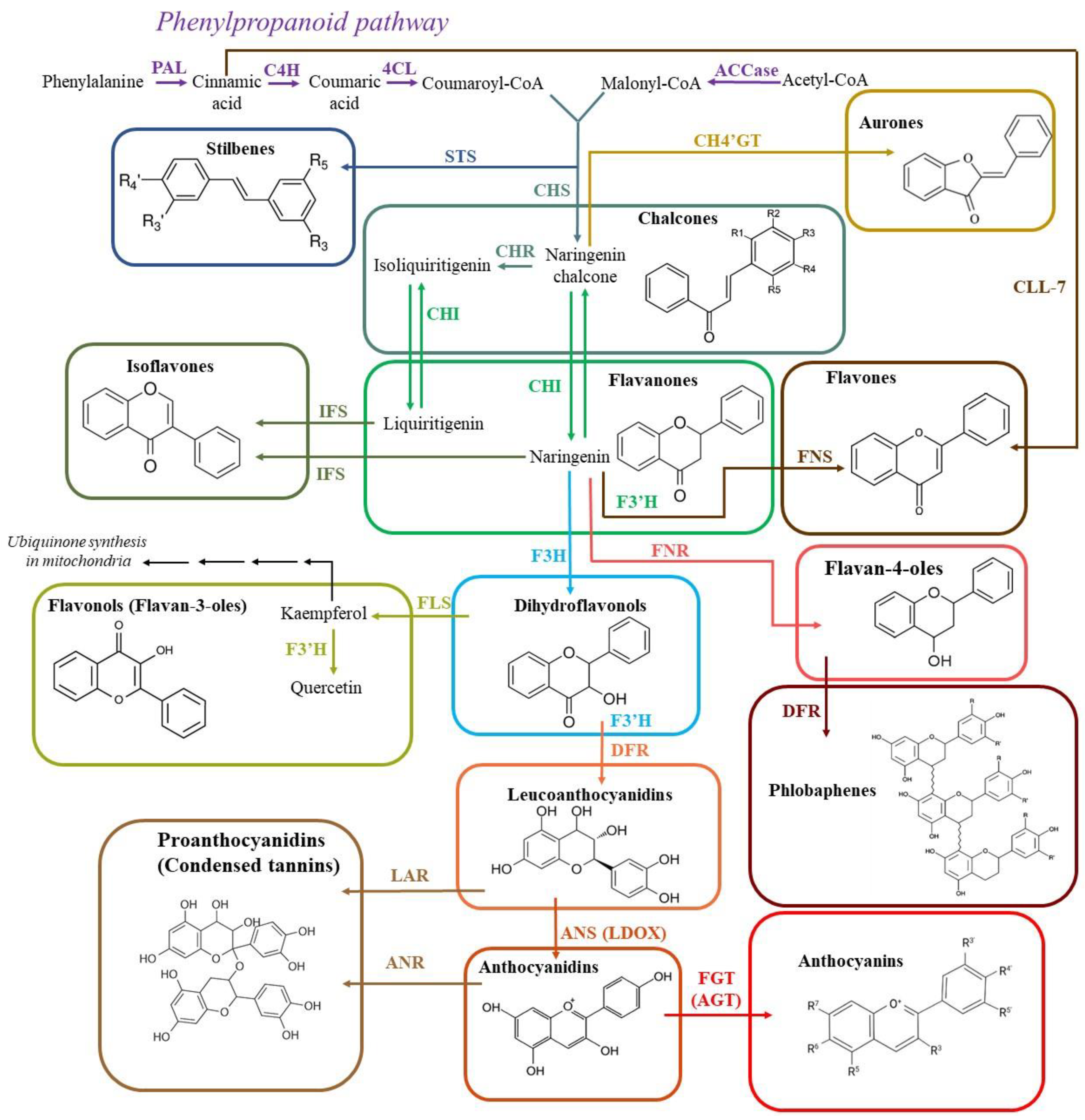 Antioxidants 12 02014 g004 Antioxidants 12 02014 g004