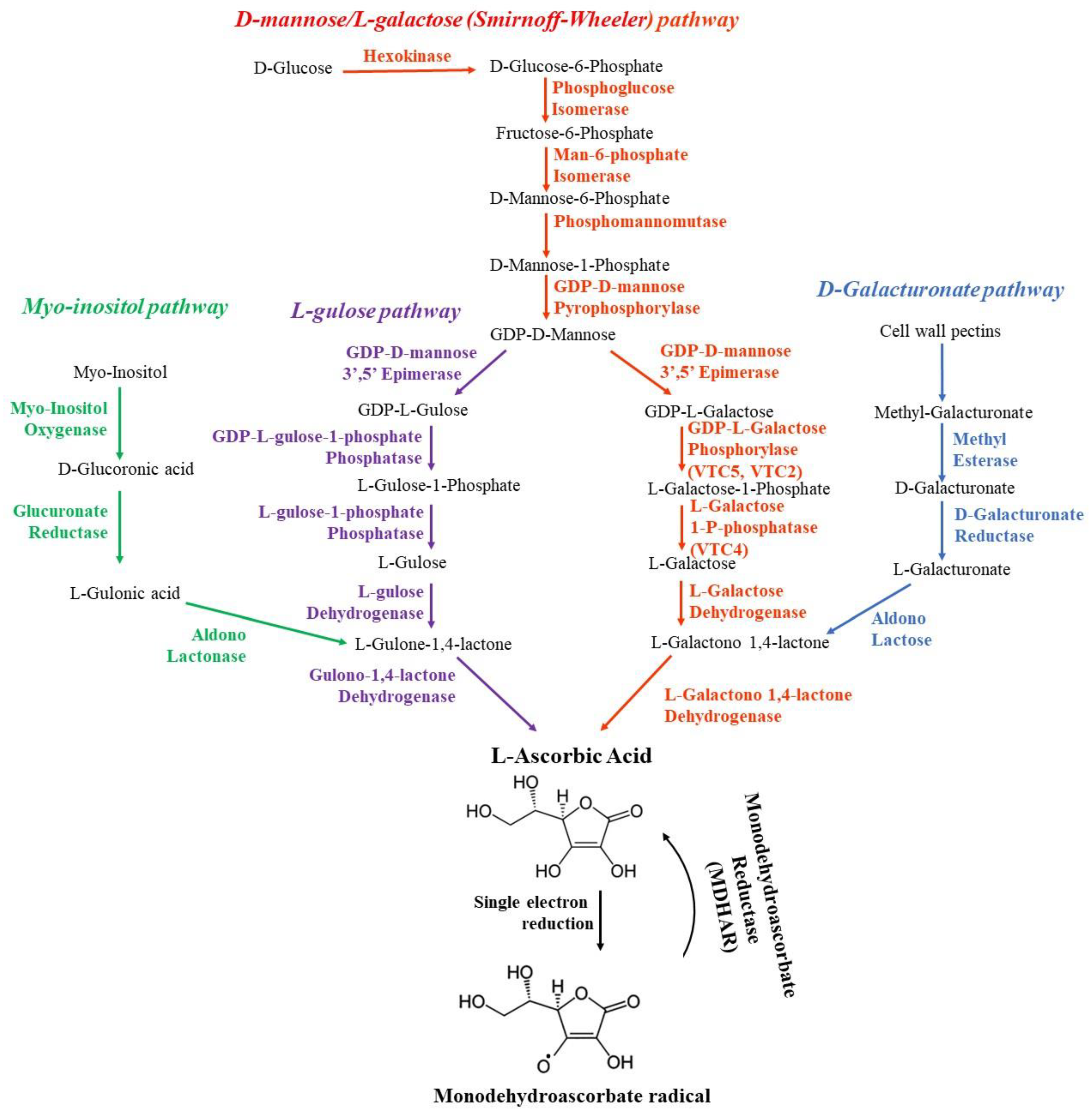 Antioxidants 12 02014 g005 Antioxidants 12 02014 g005
