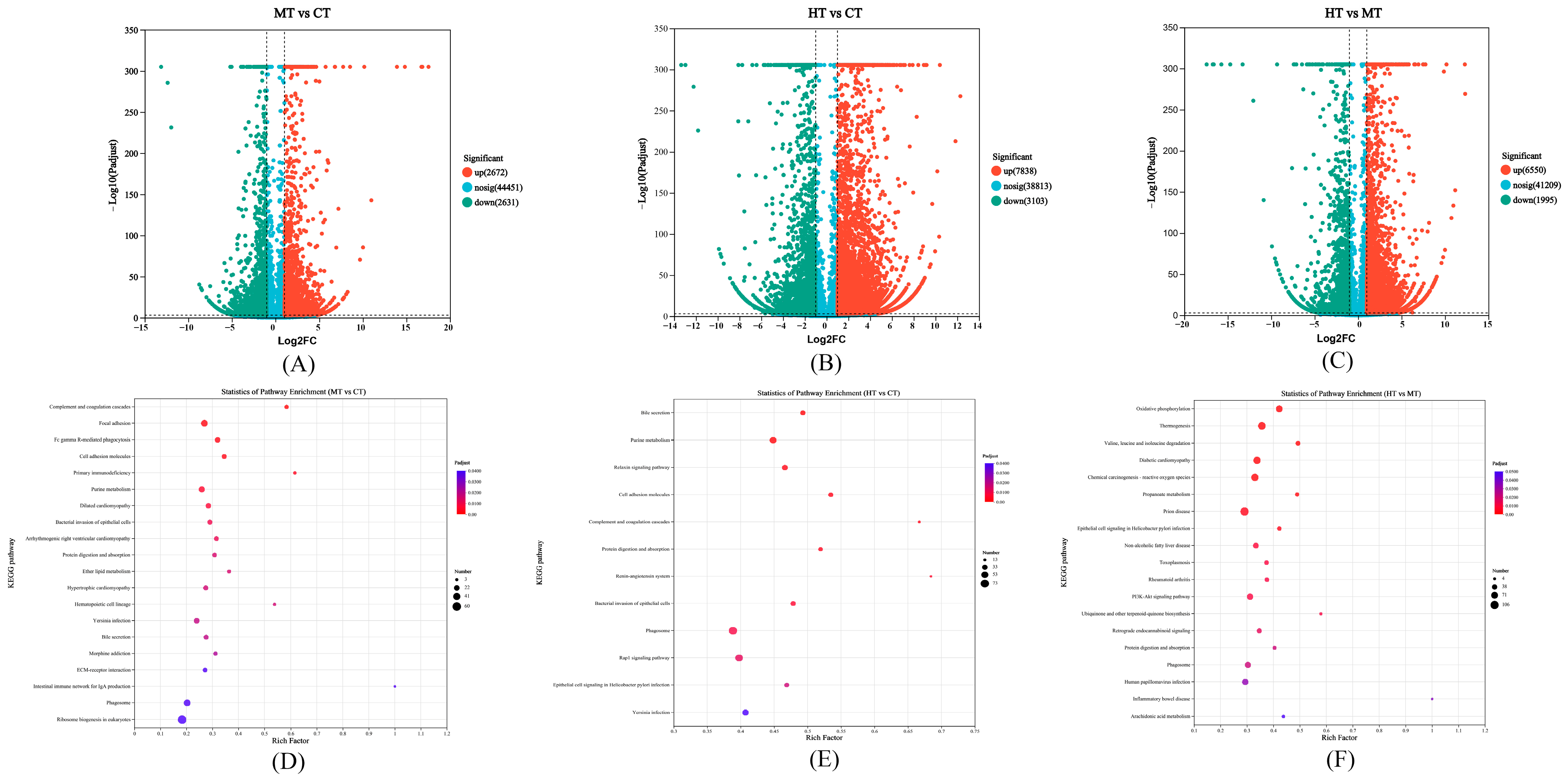 Antioxidants 12 02020 g002