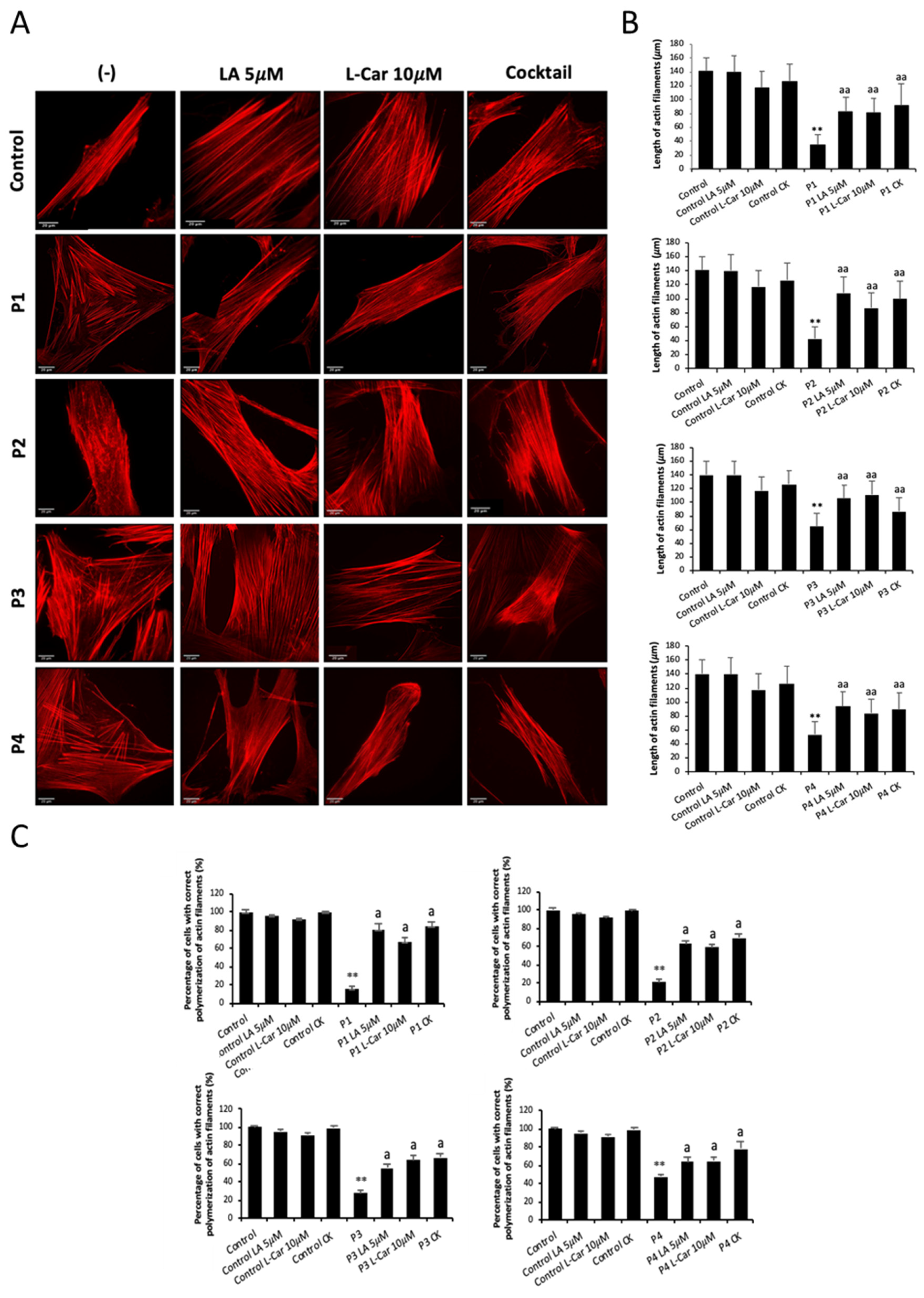 Antioxidants 12 02023 g011 Antioxidants 12 02023 g011