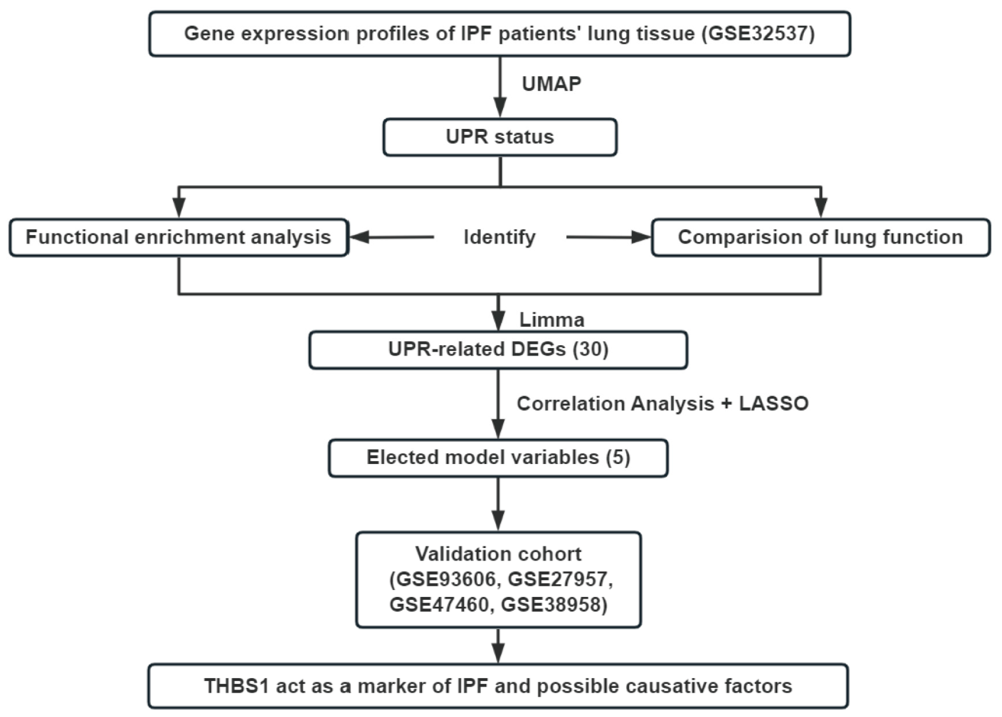 Antioxidants 12 02024 g001