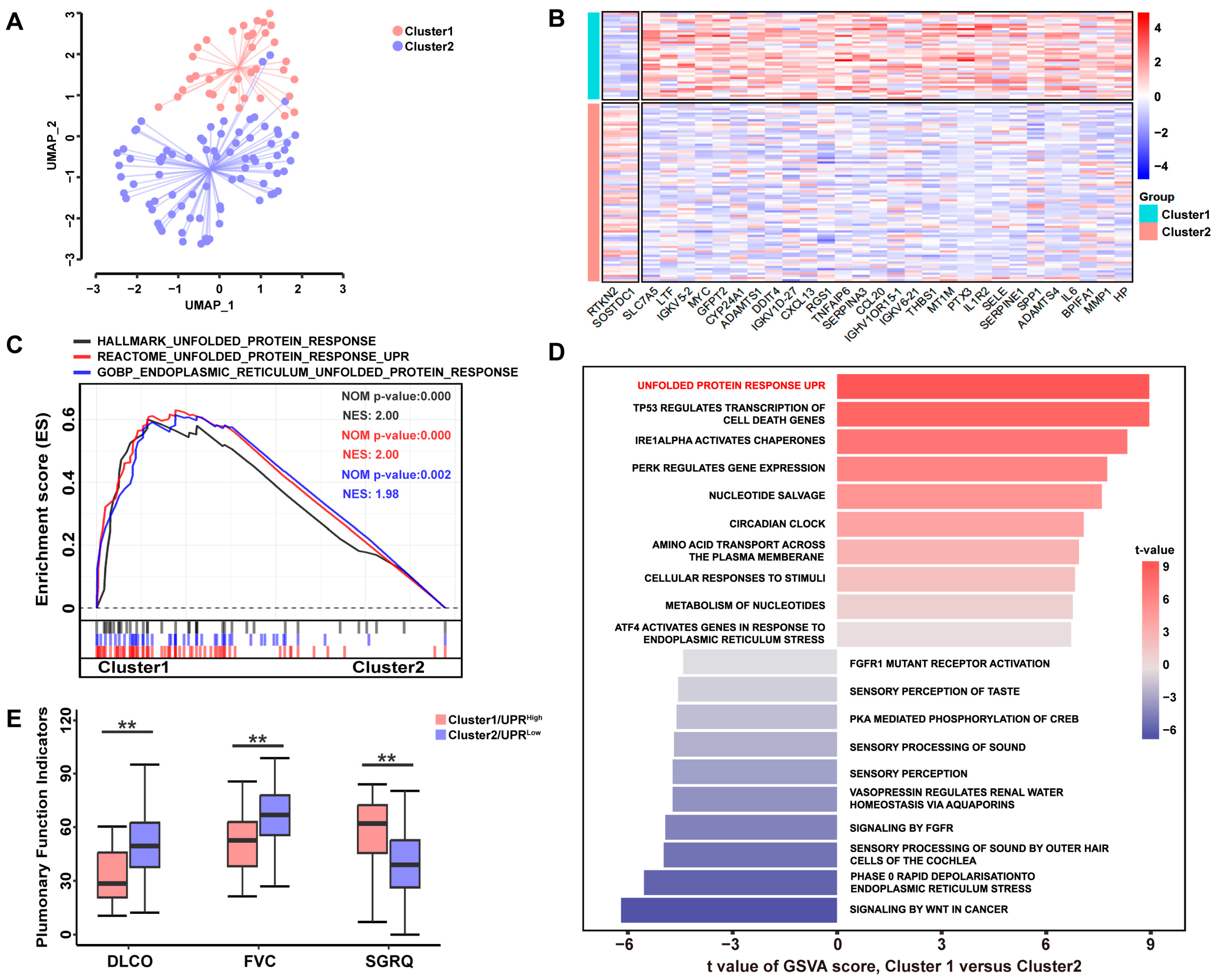 Antioxidants 12 02024 g002