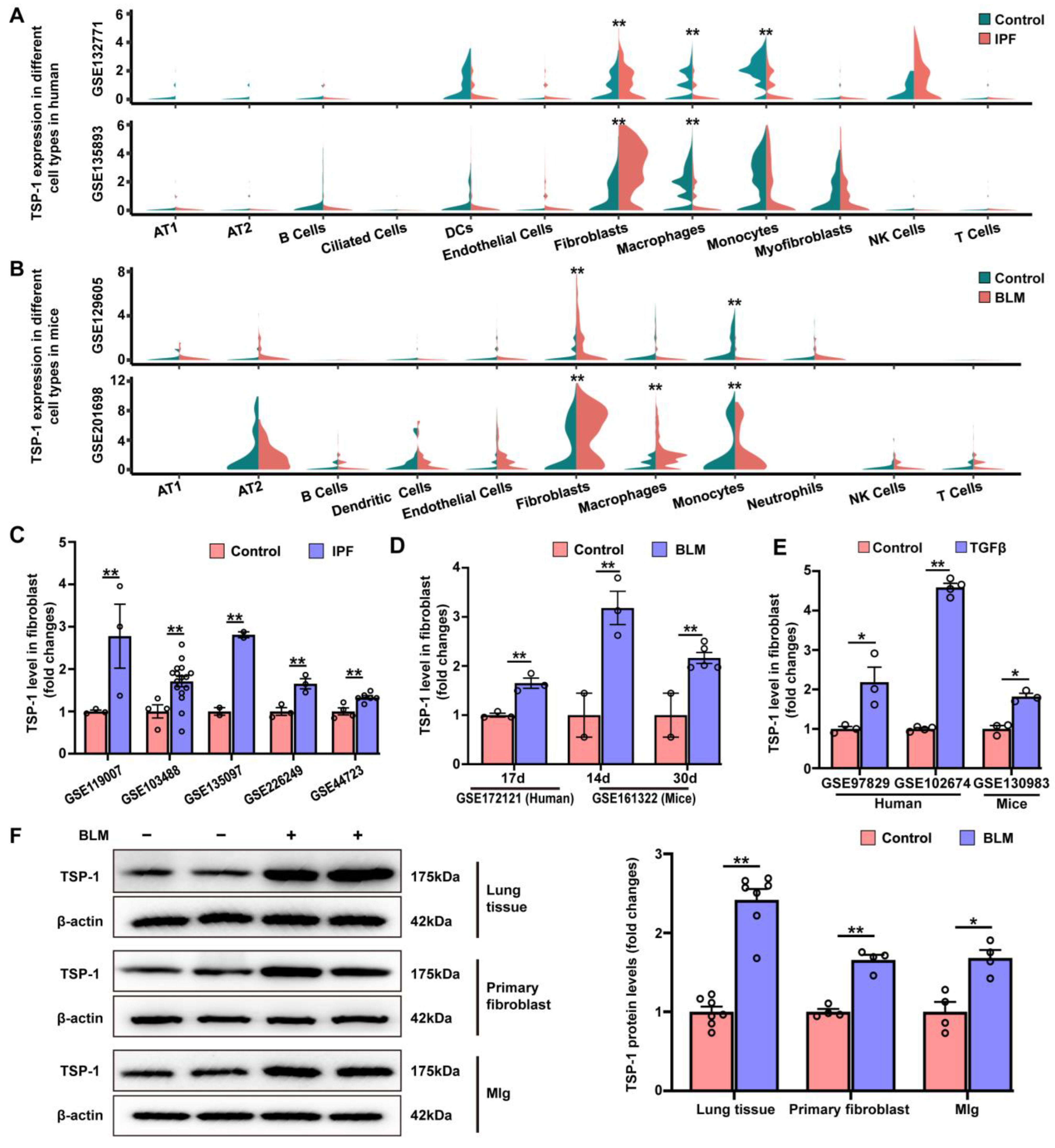 Antioxidants 12 02024 g006