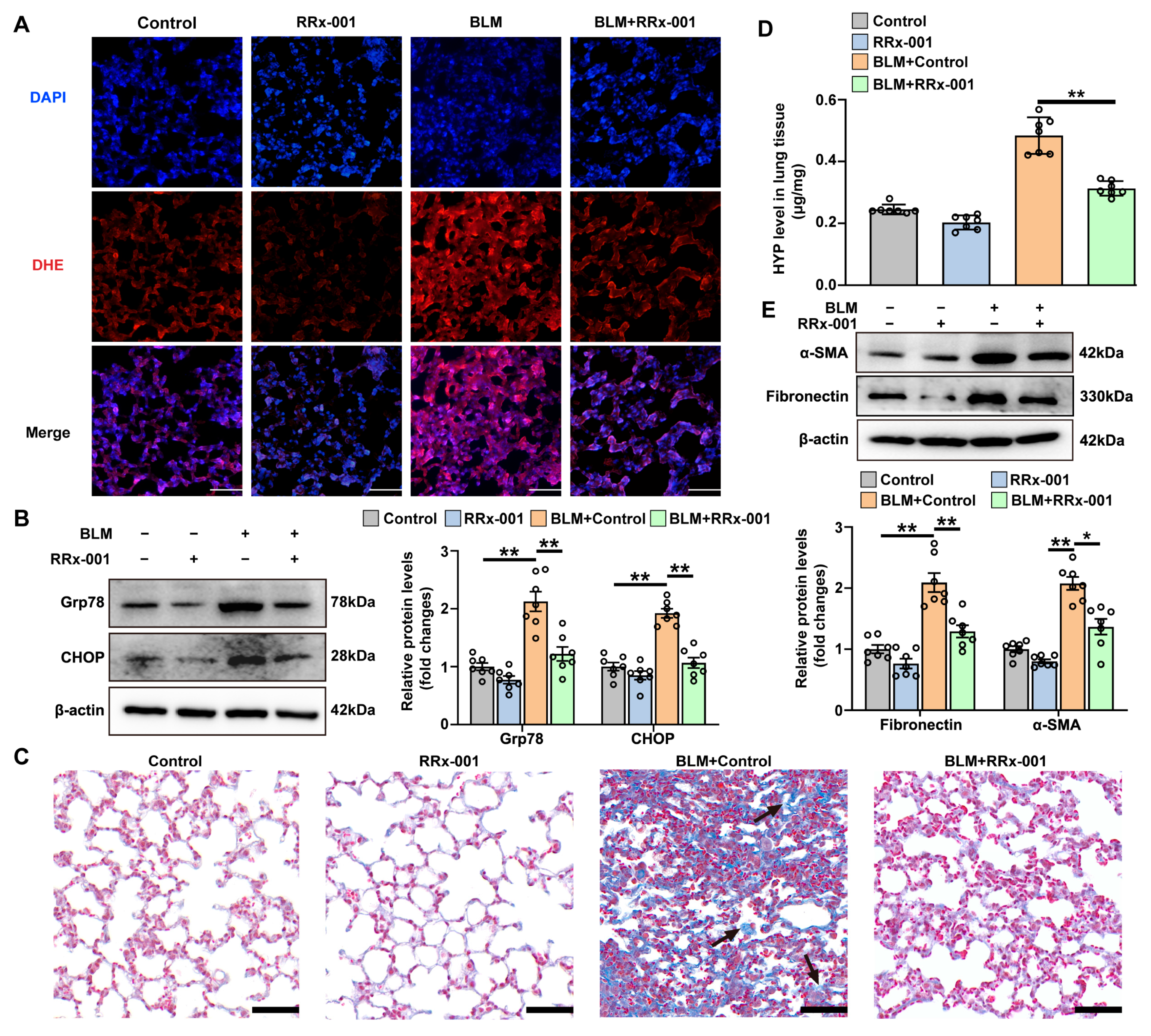 Antioxidants 12 02024 g008