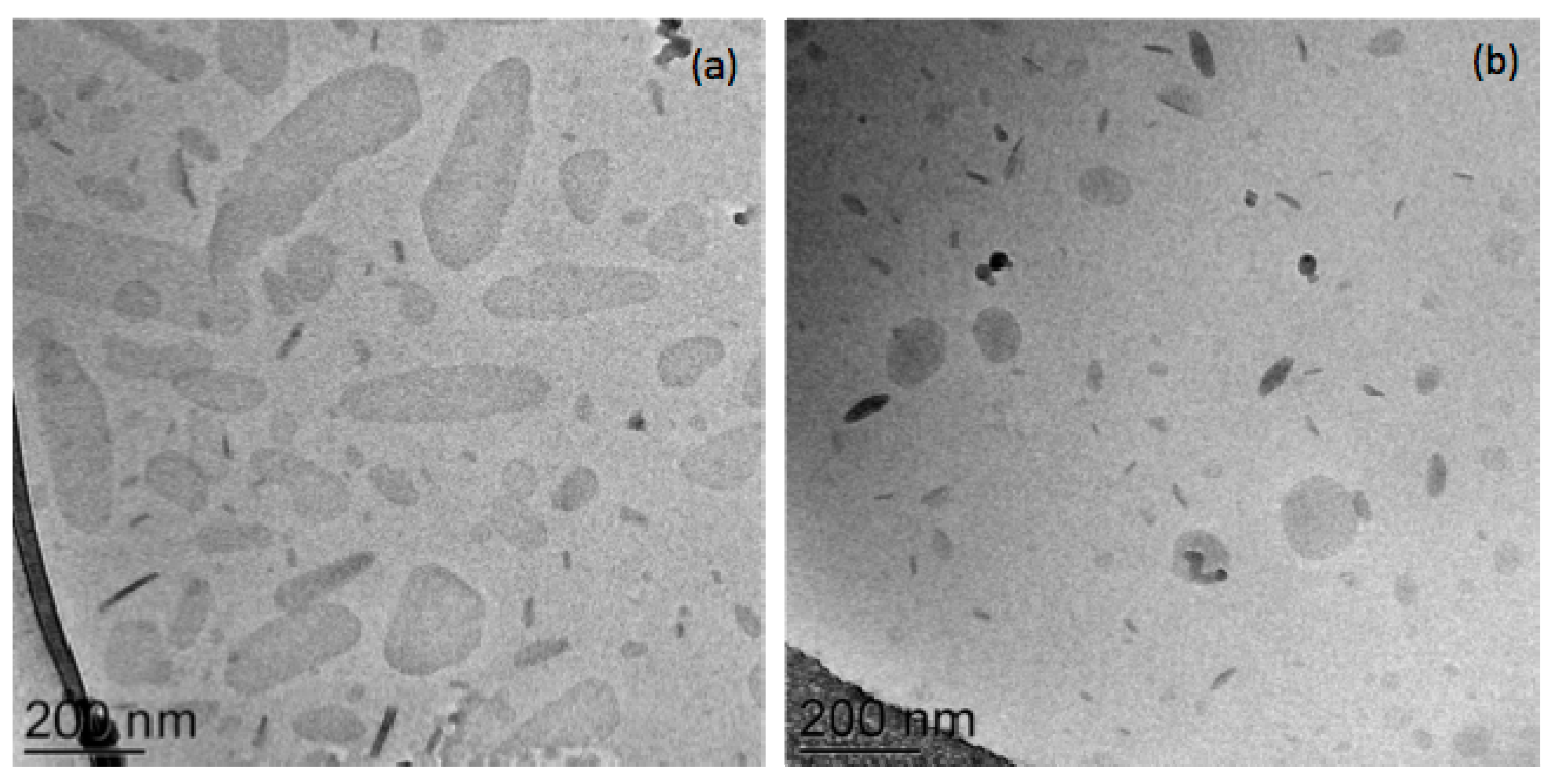 Antioxidants 12 02025 g003