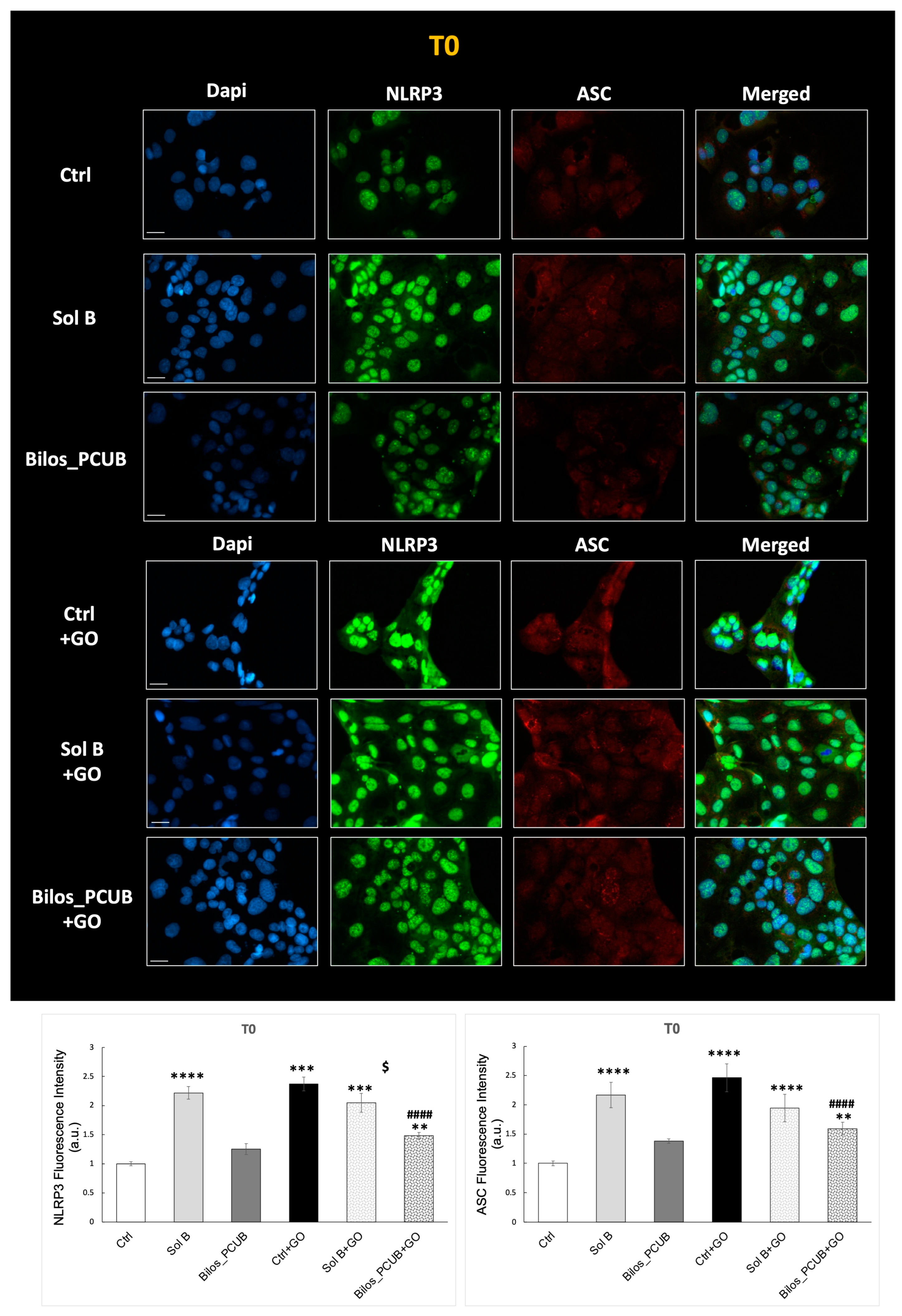 Antioxidants 12 02025 g008