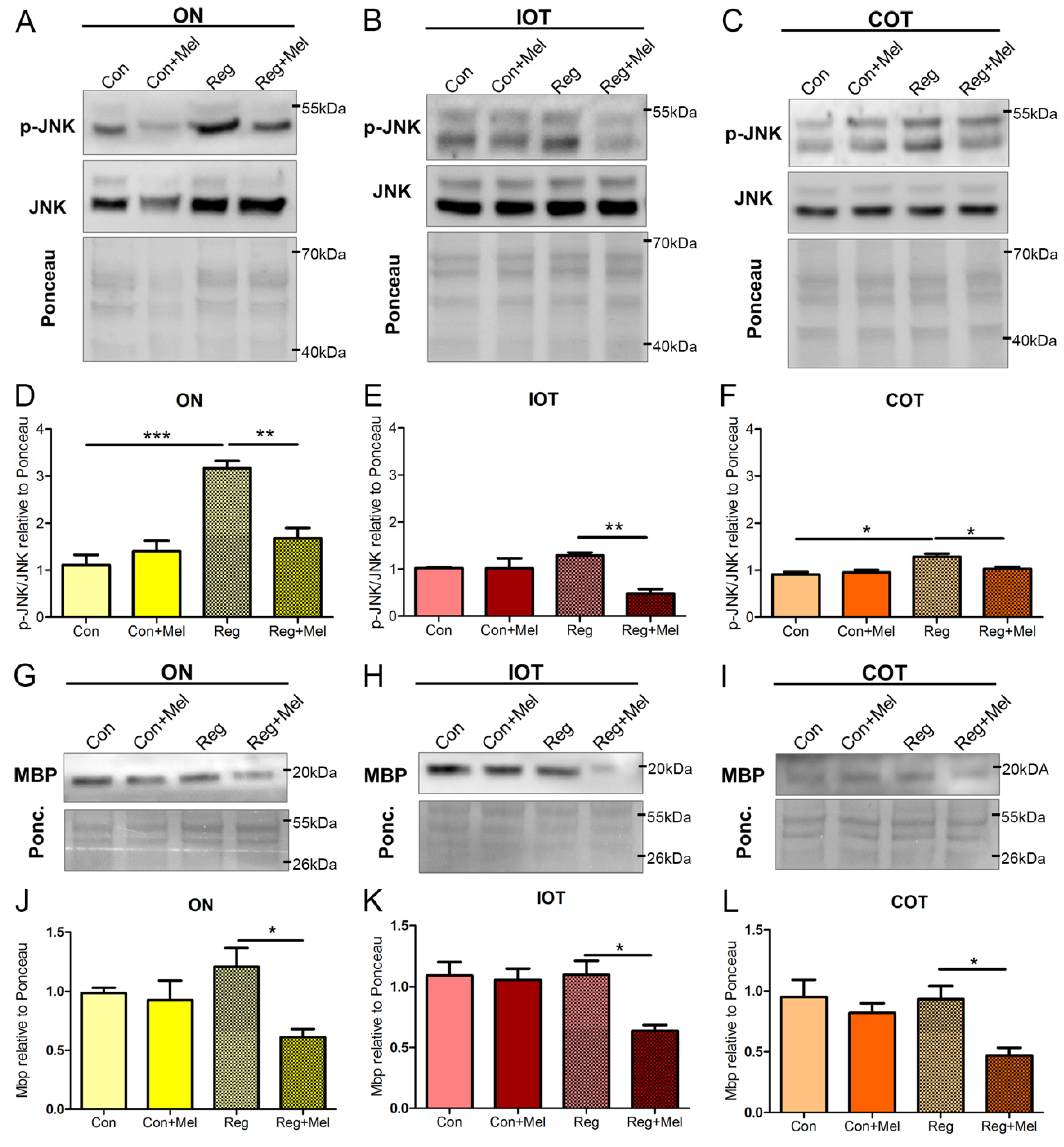 Antioxidants 12 02026 g007