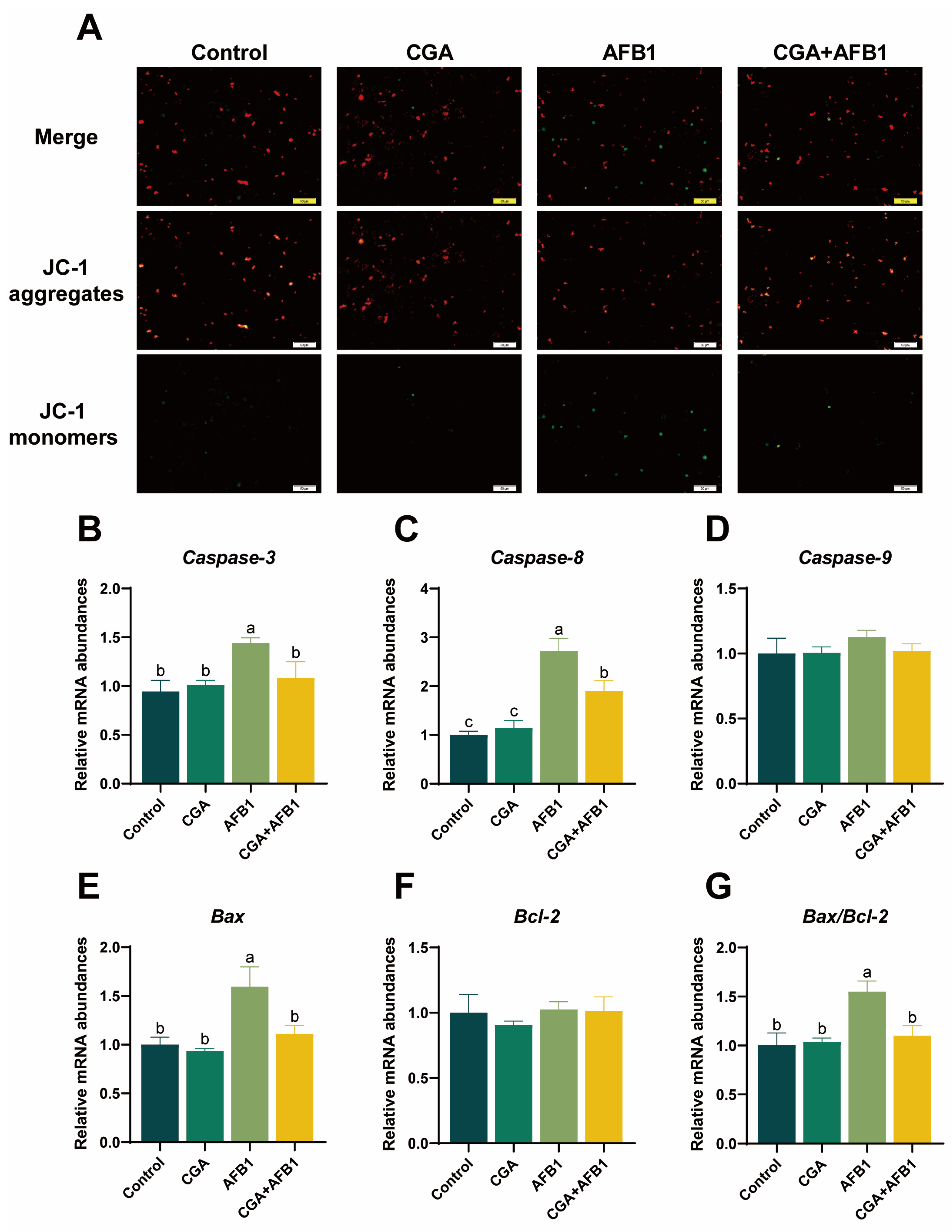 Antioxidants 12 02027 g005