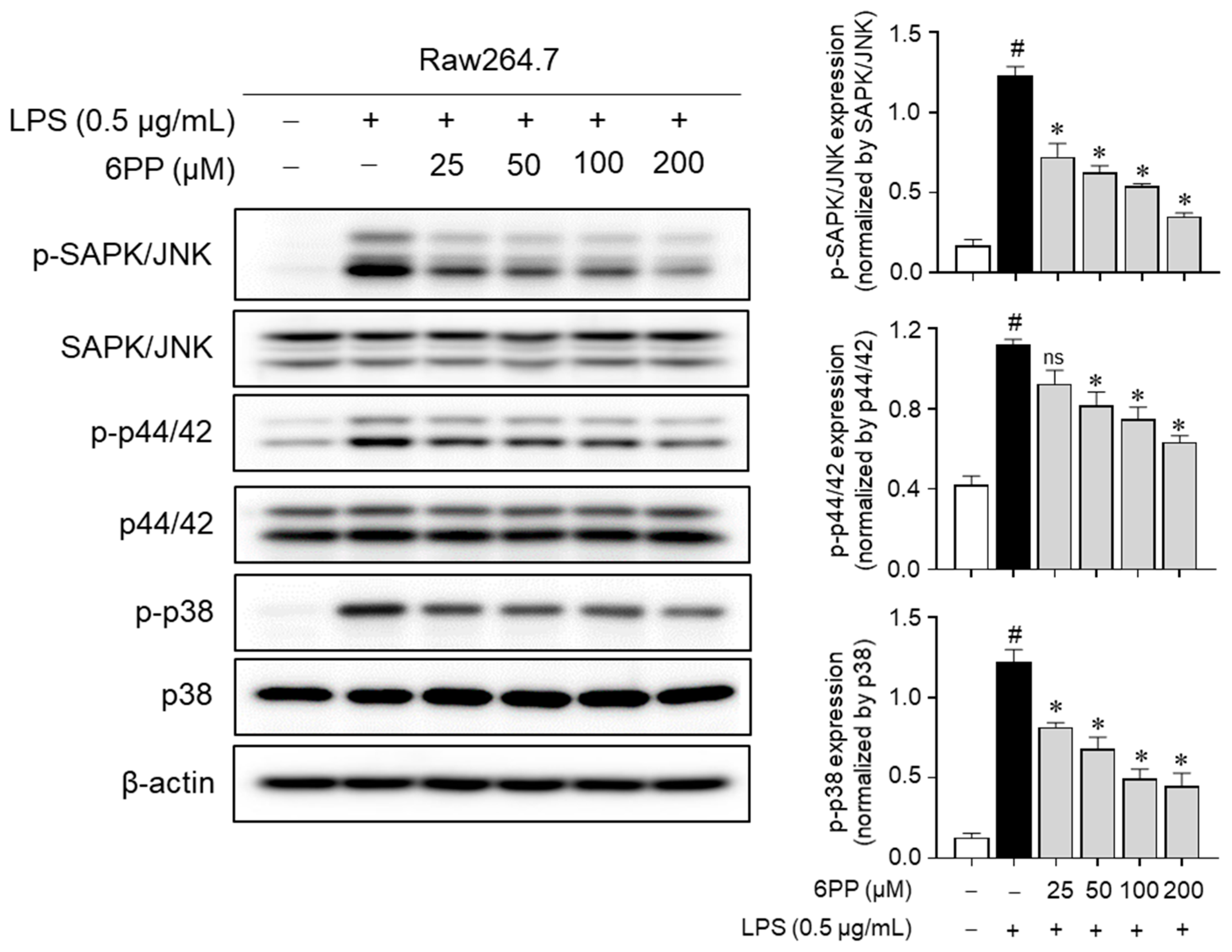 Antioxidants 12 02028 g007