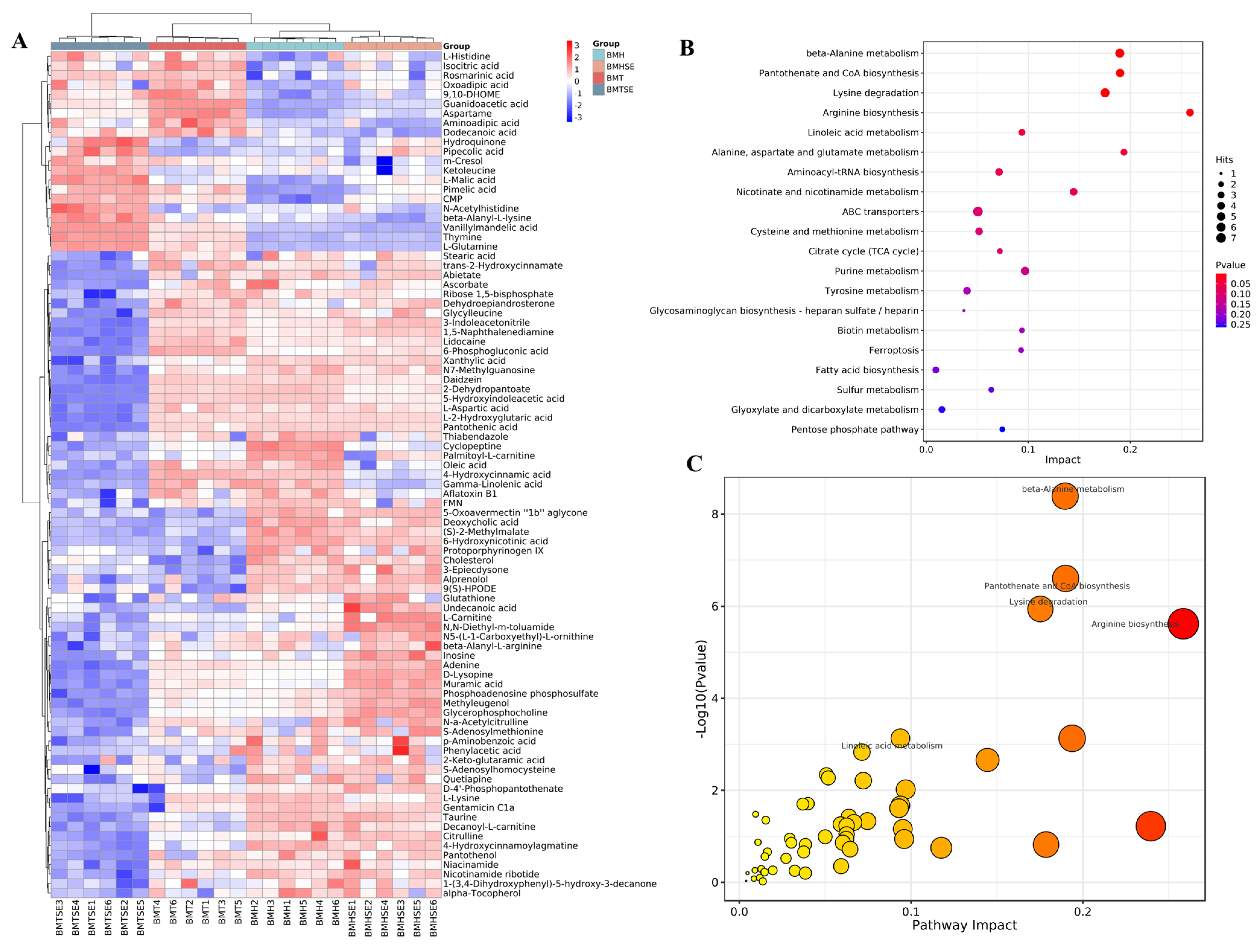 Antioxidants 12 02032 g003 Antioxidants 12 02032 g003