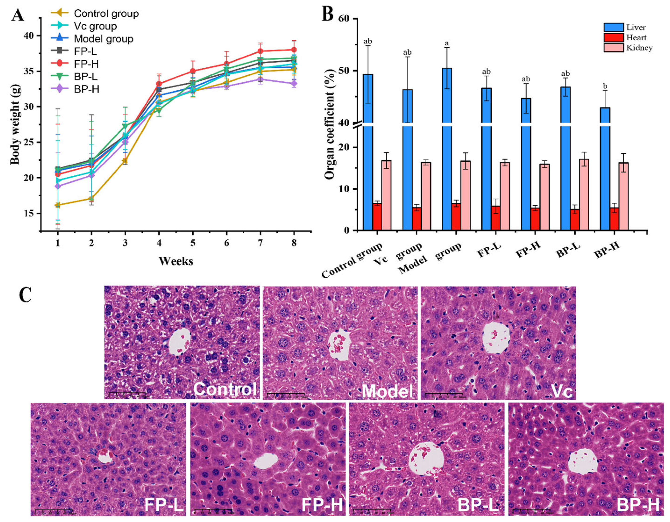Antioxidants 12 02033 g004