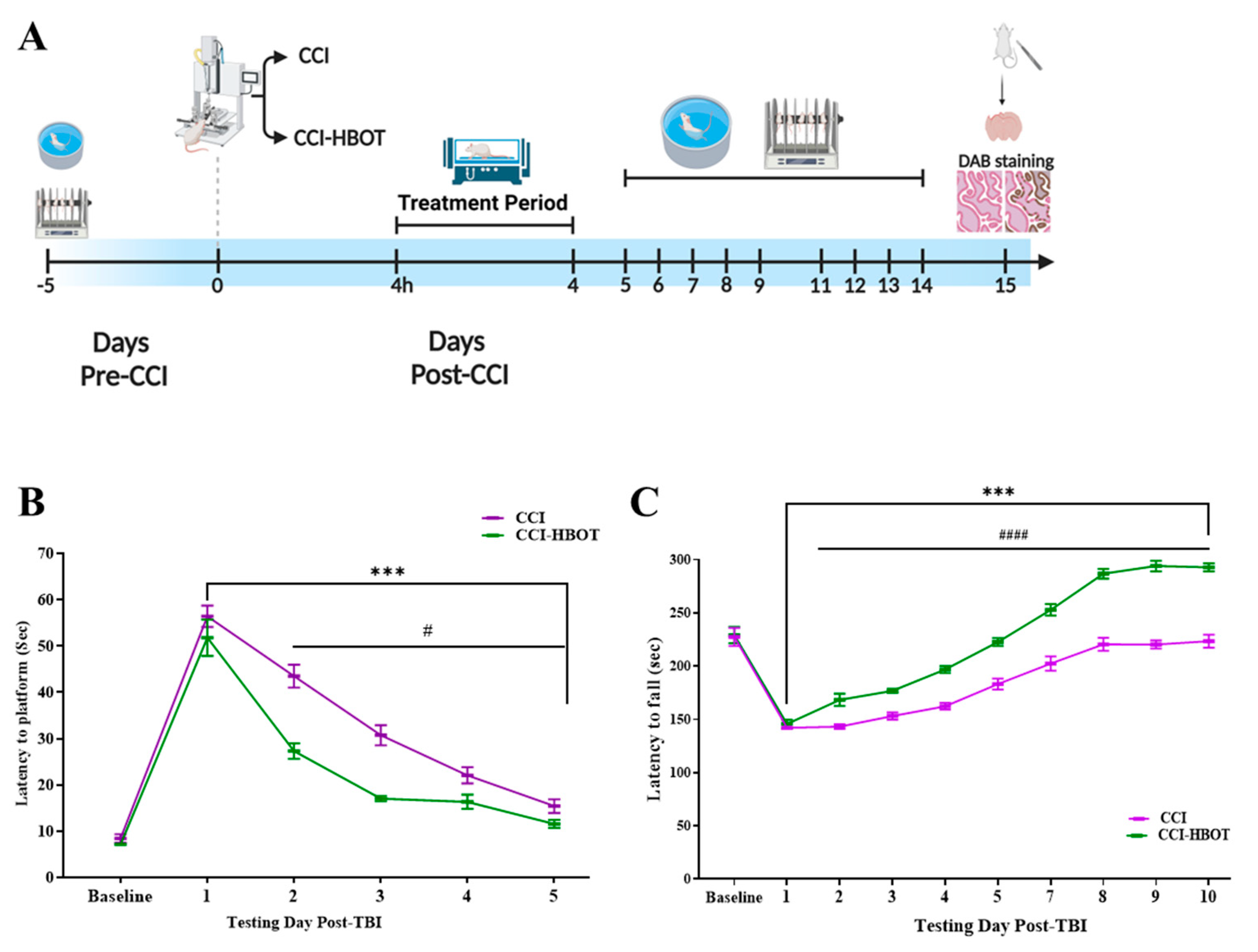 ET capacity - Bioblast