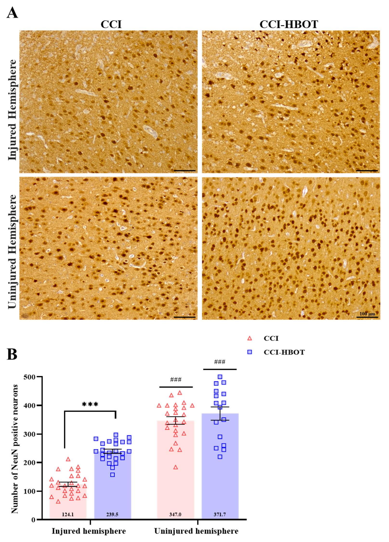 Antioxidants 12 02034 g002