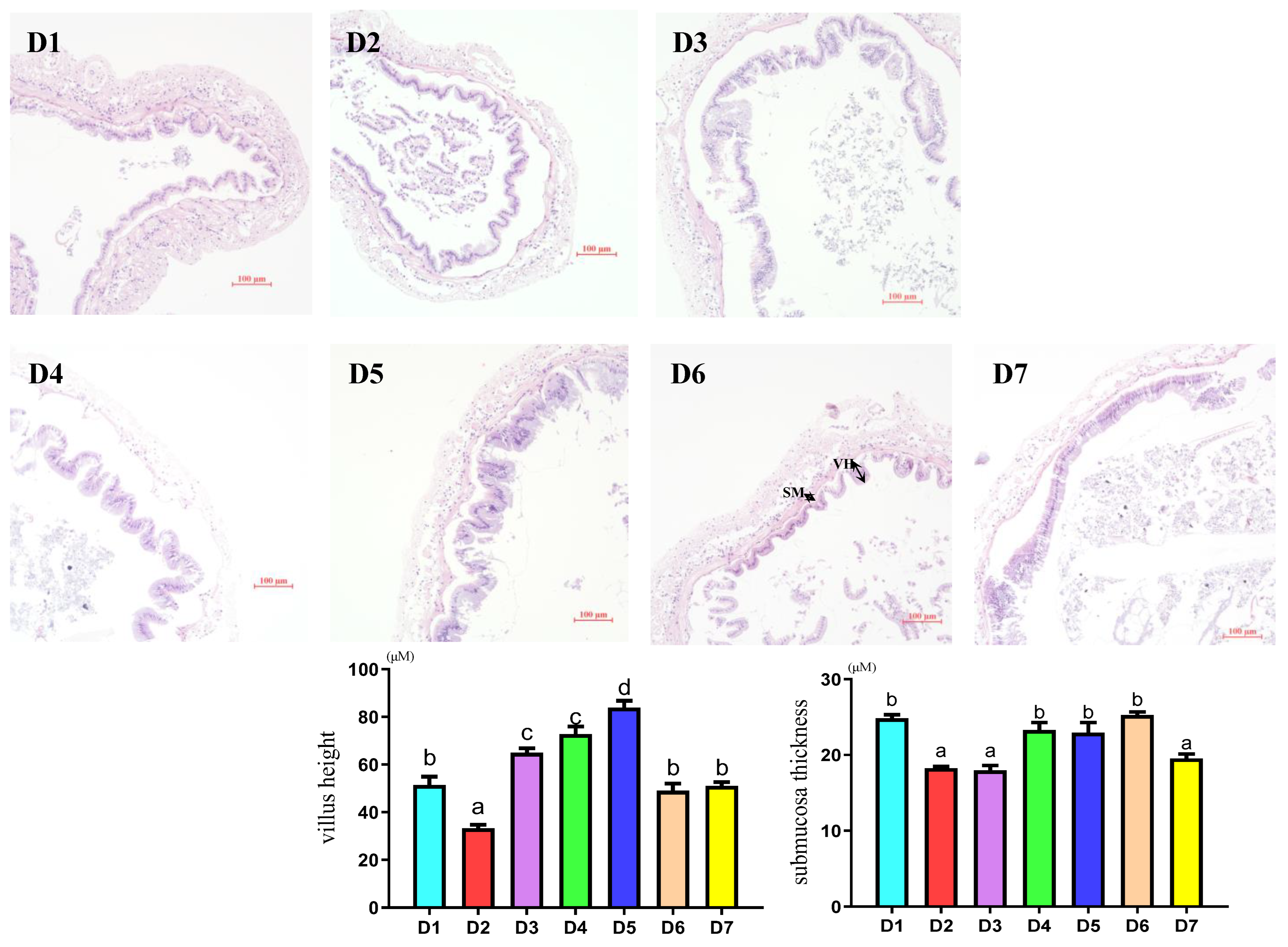 Antioxidants 12 02042 g003