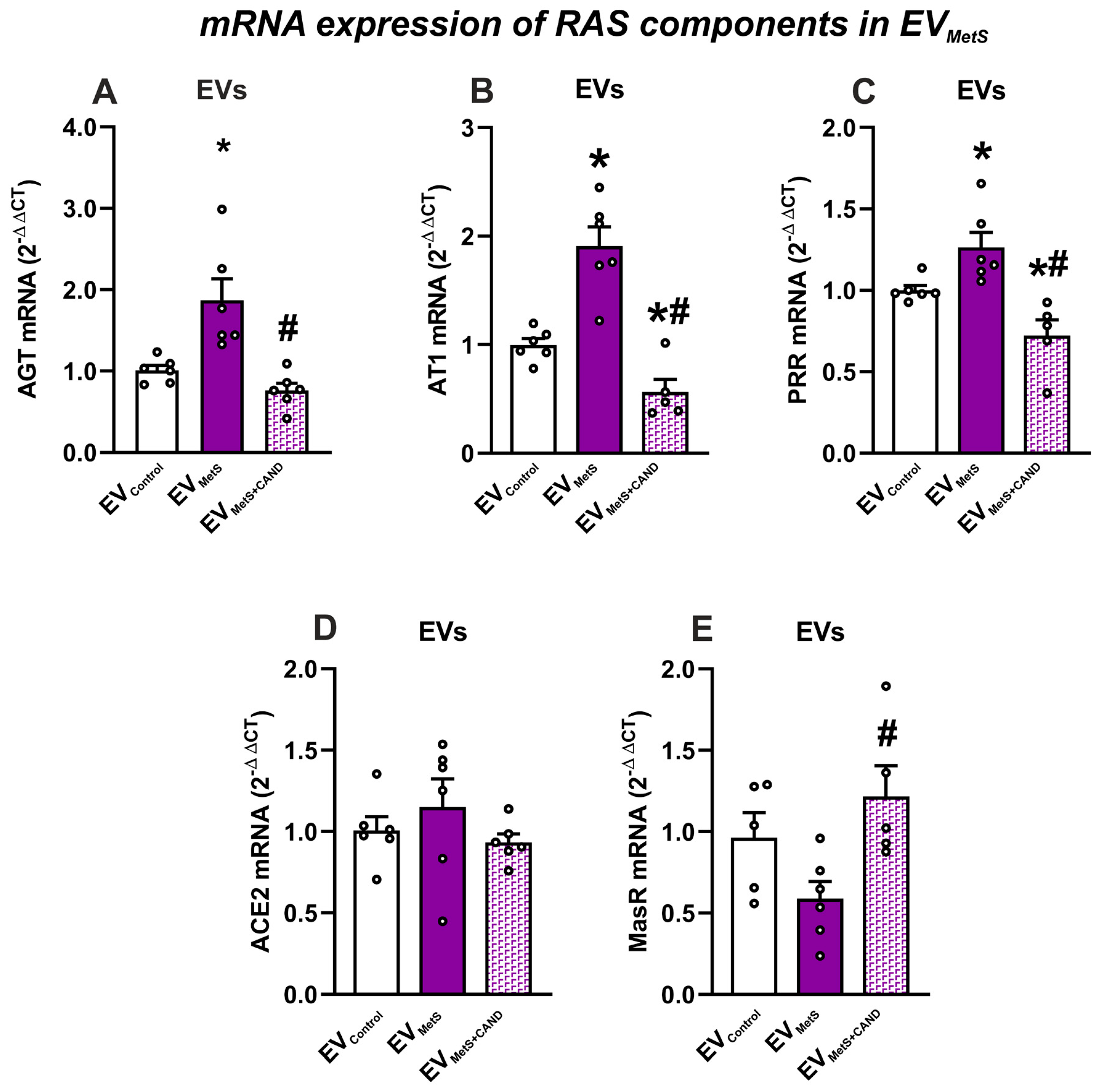 Antioxidants 12 02045 g002