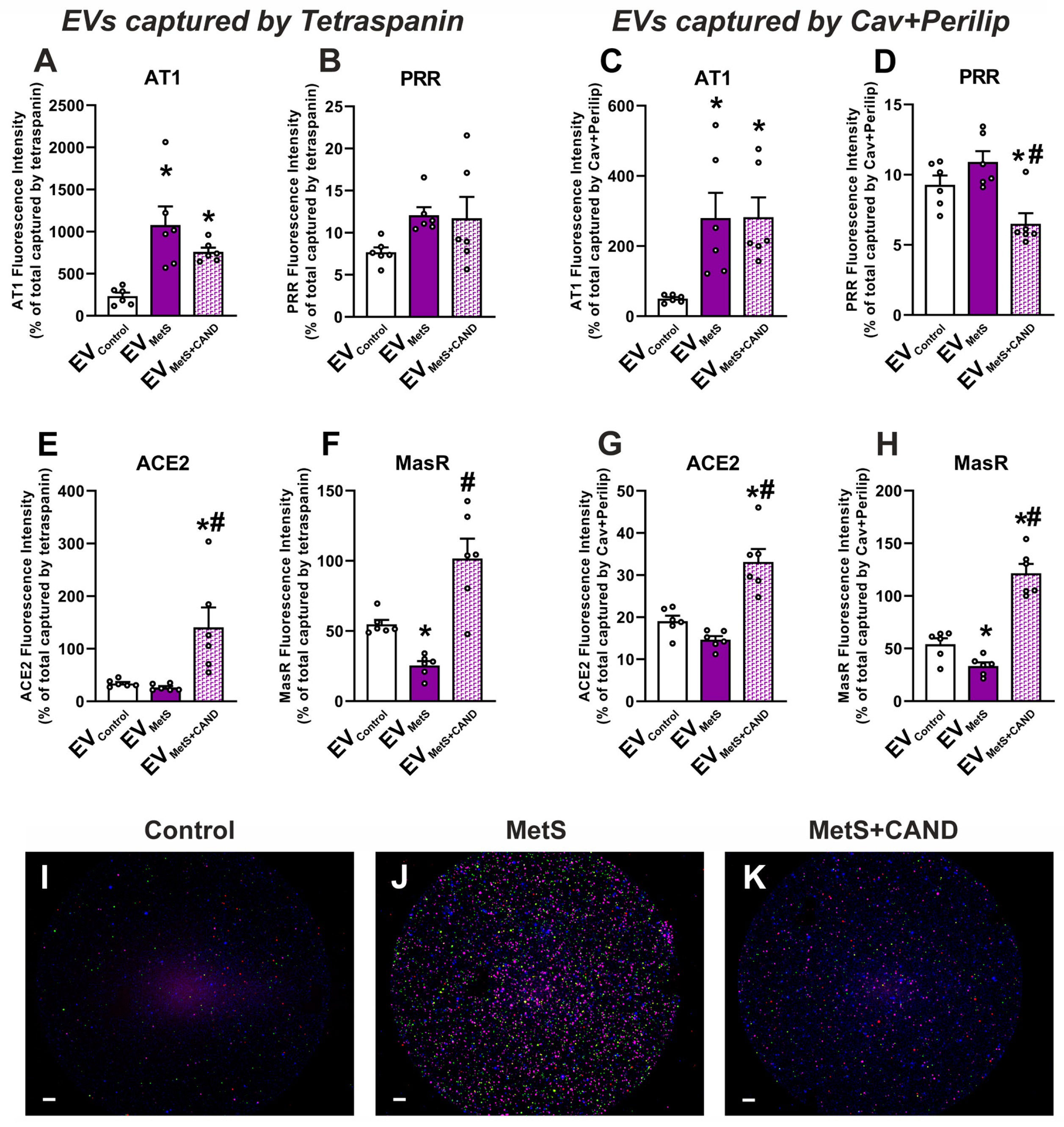 Antioxidants 12 02045 g003