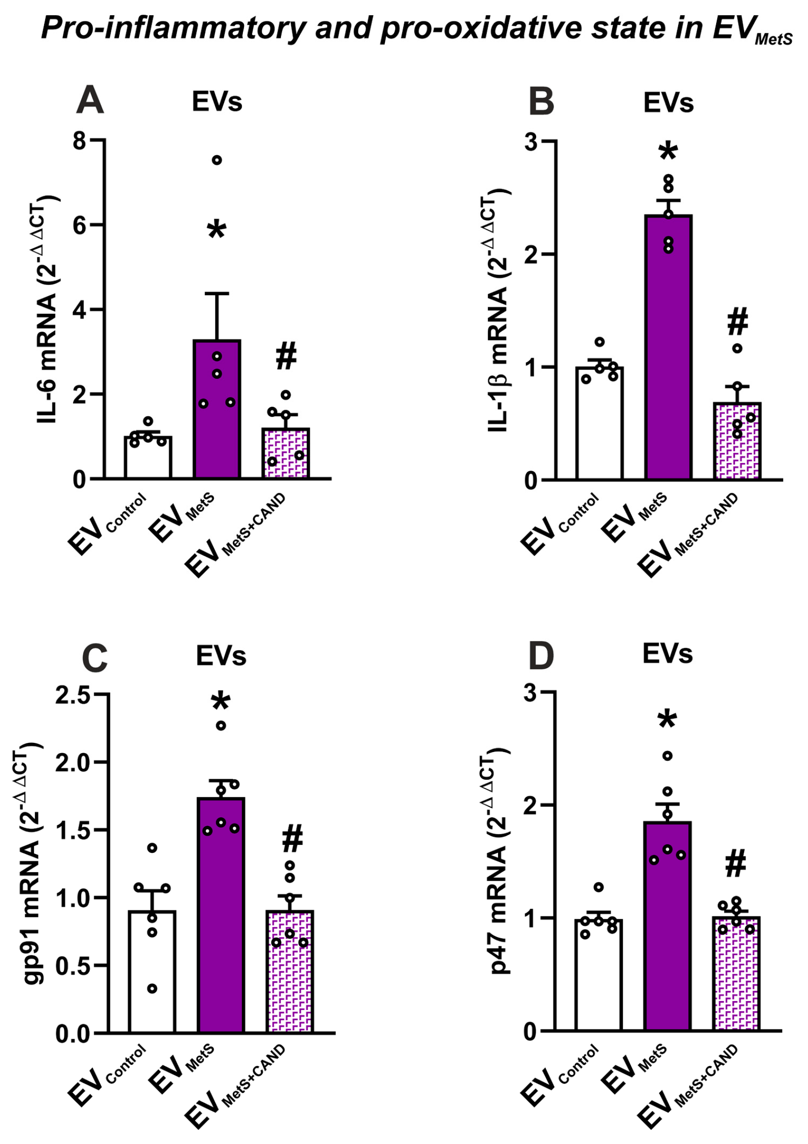 Antioxidants 12 02045 g004