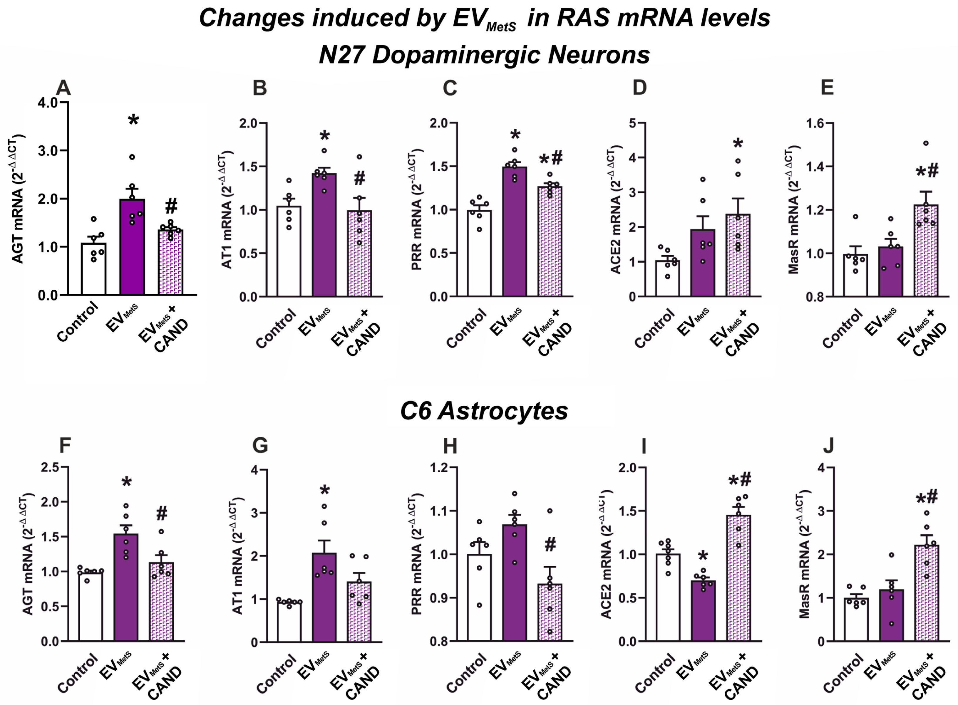 Antioxidants 12 02045 g008