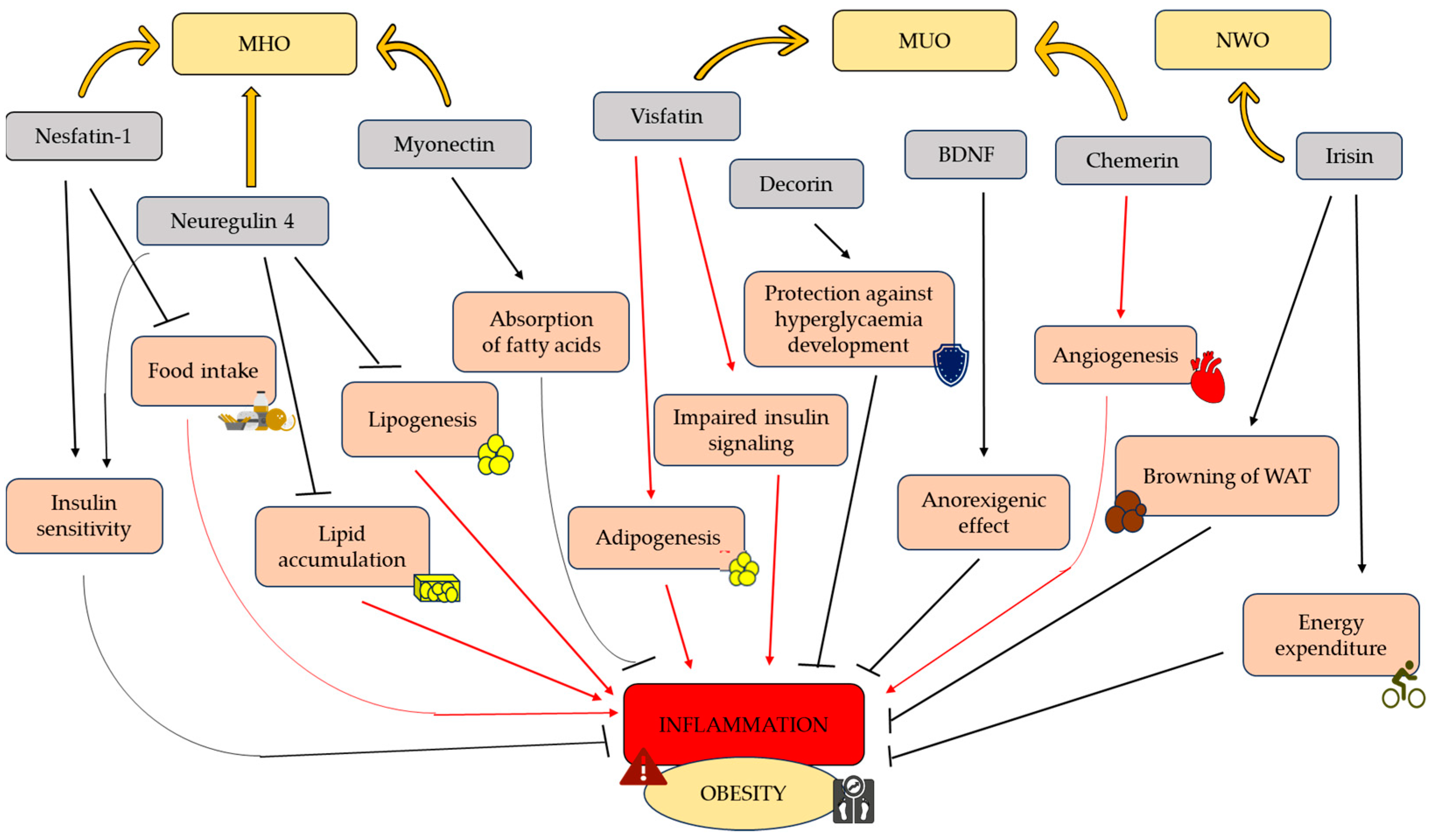 Antioxidants 12 02046 g001 Antioxidants 12 02046 g001