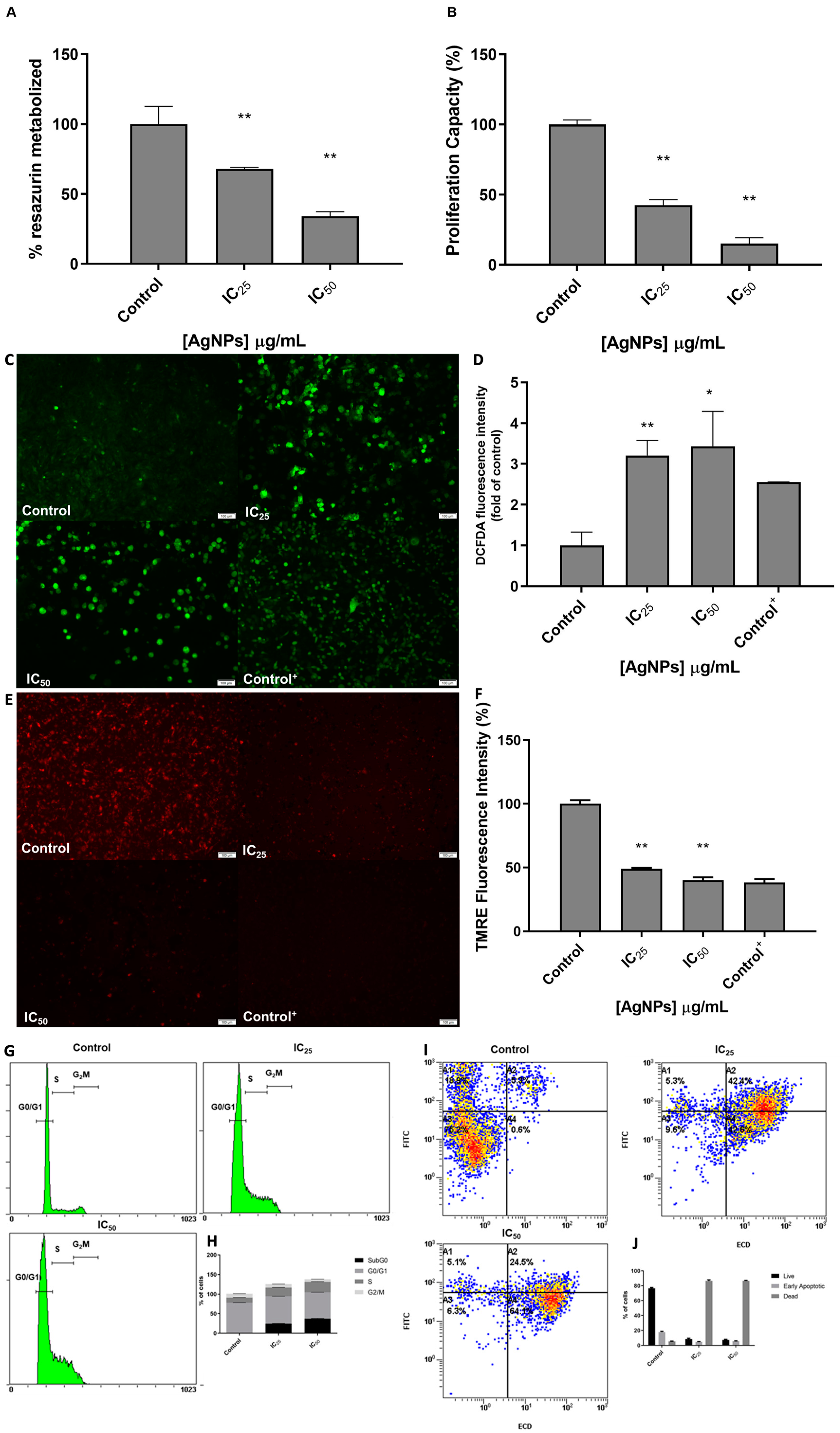 Antioxidants 12 02051 g003