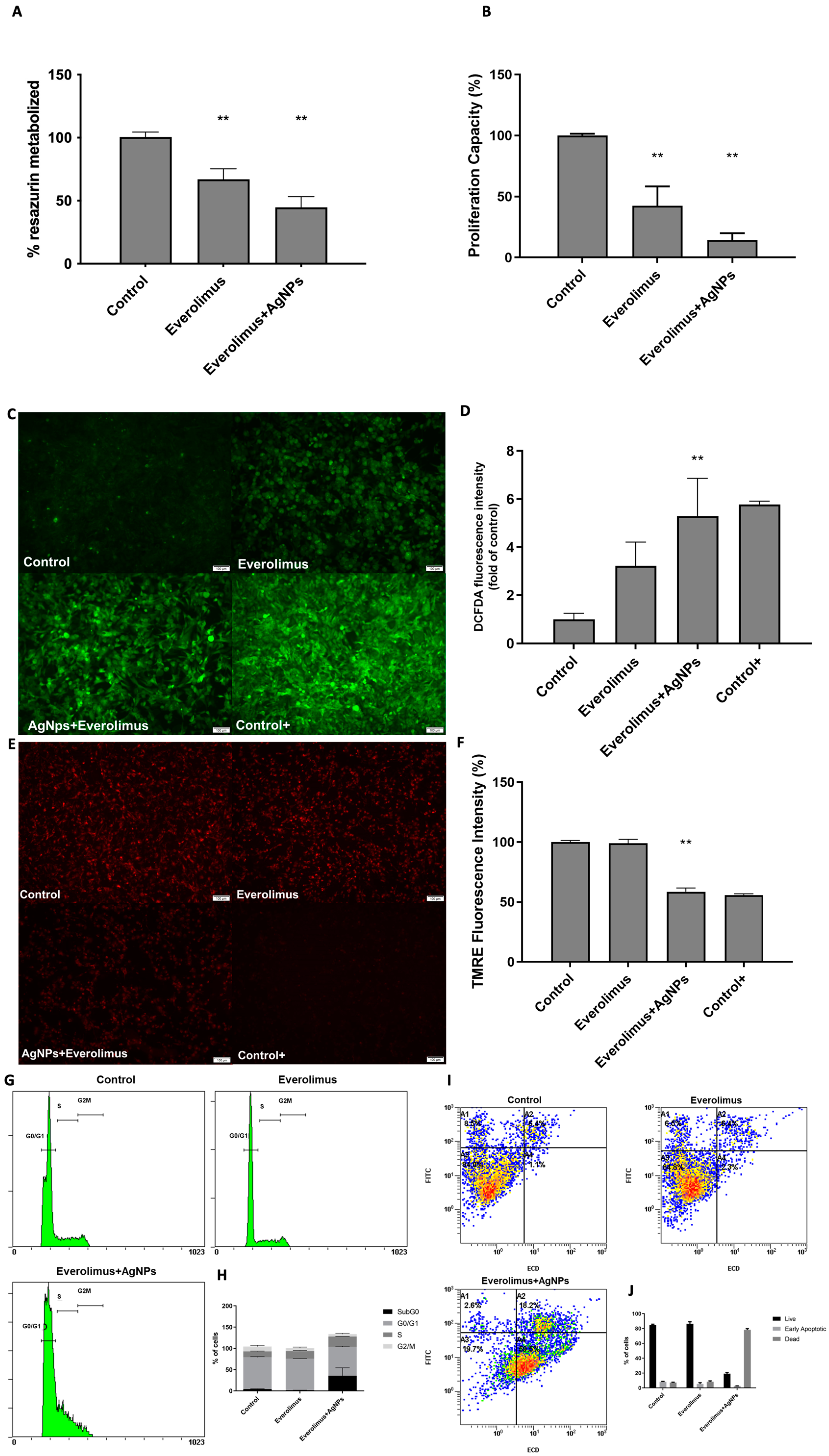 Antioxidants 12 02051 g005