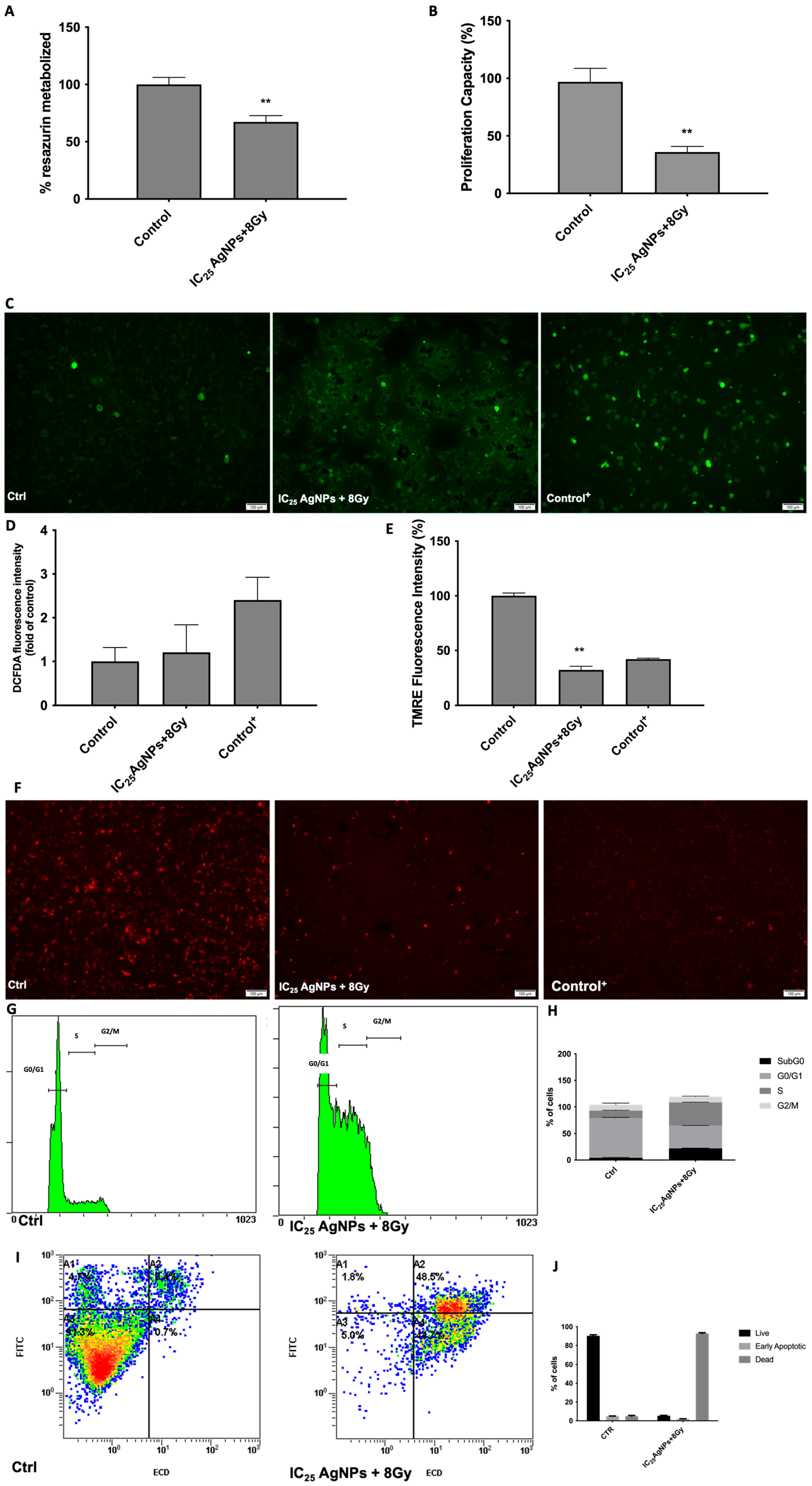 Antioxidants 12 02051 g007