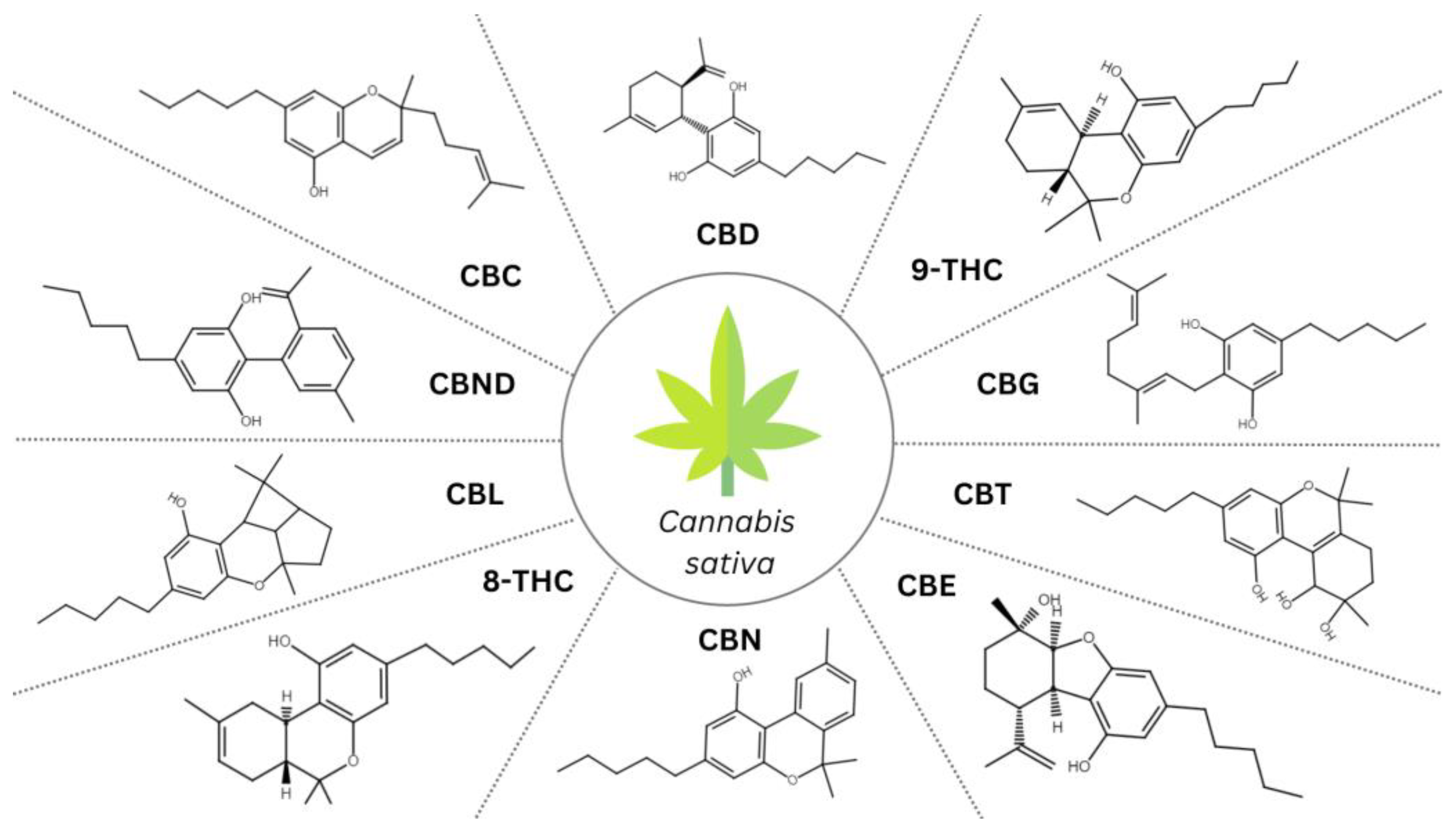 Antioxidants 12 02052 g001