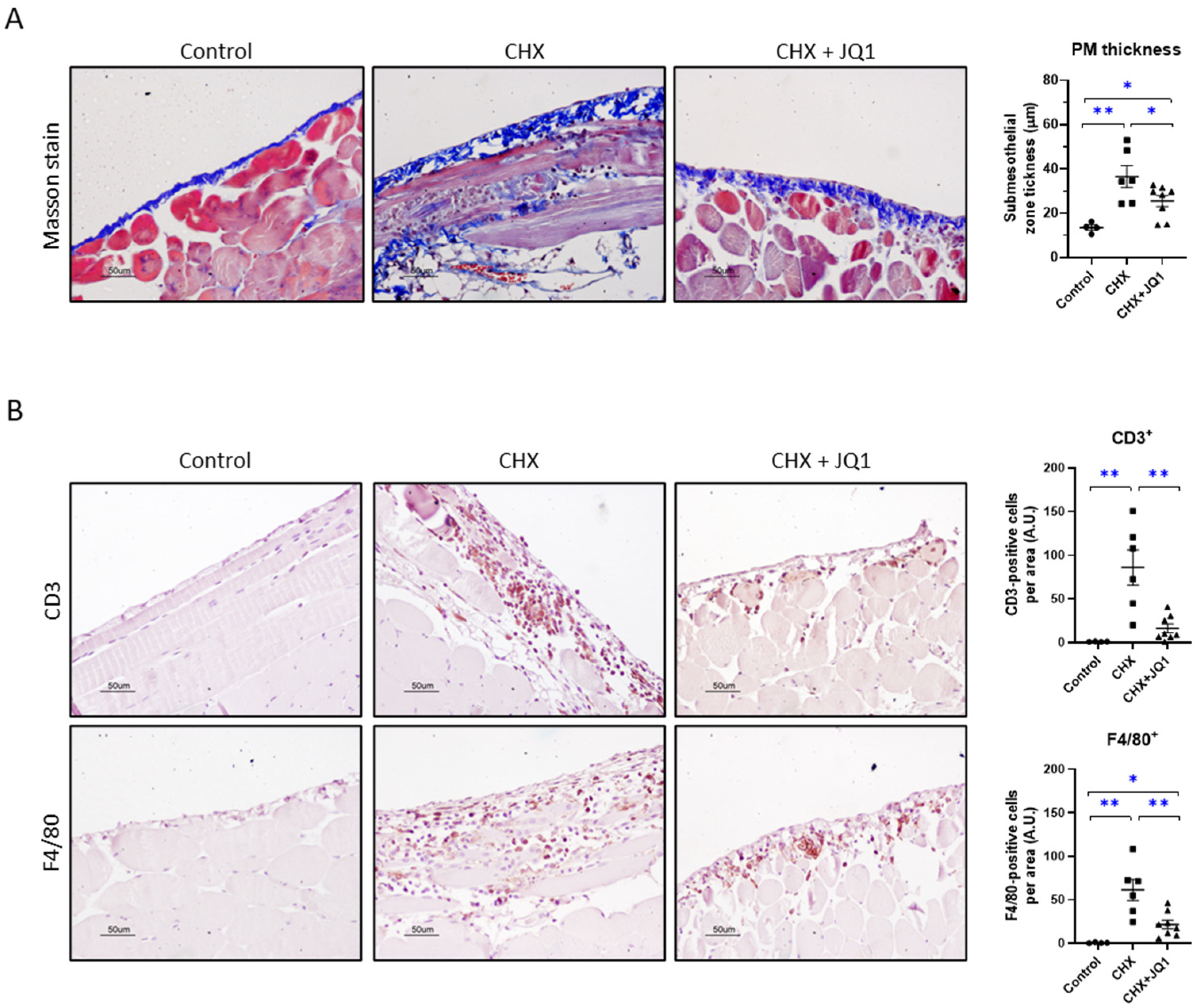 Antioxidants 12 02055 g001