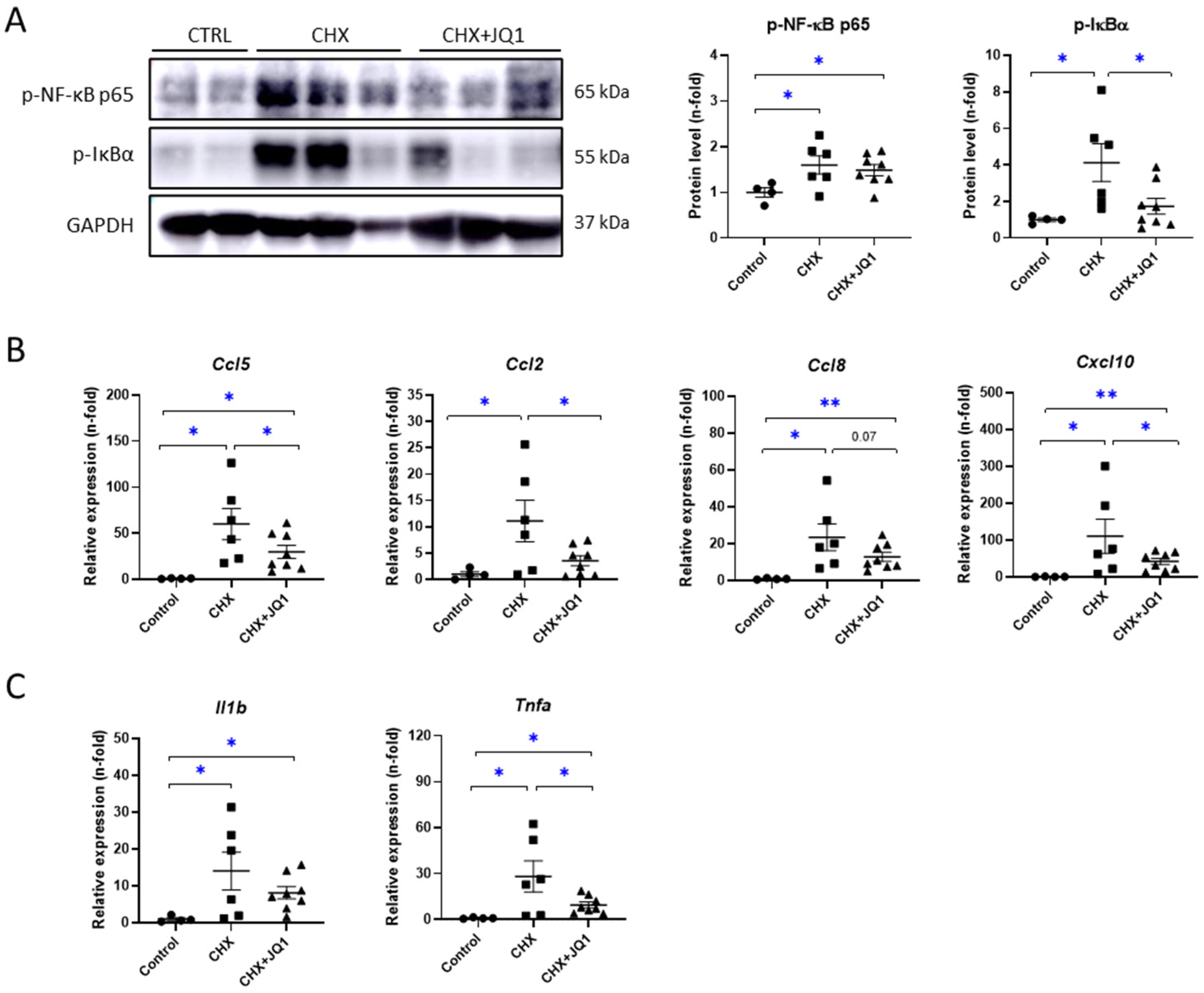 Antioxidants 12 02055 g003
