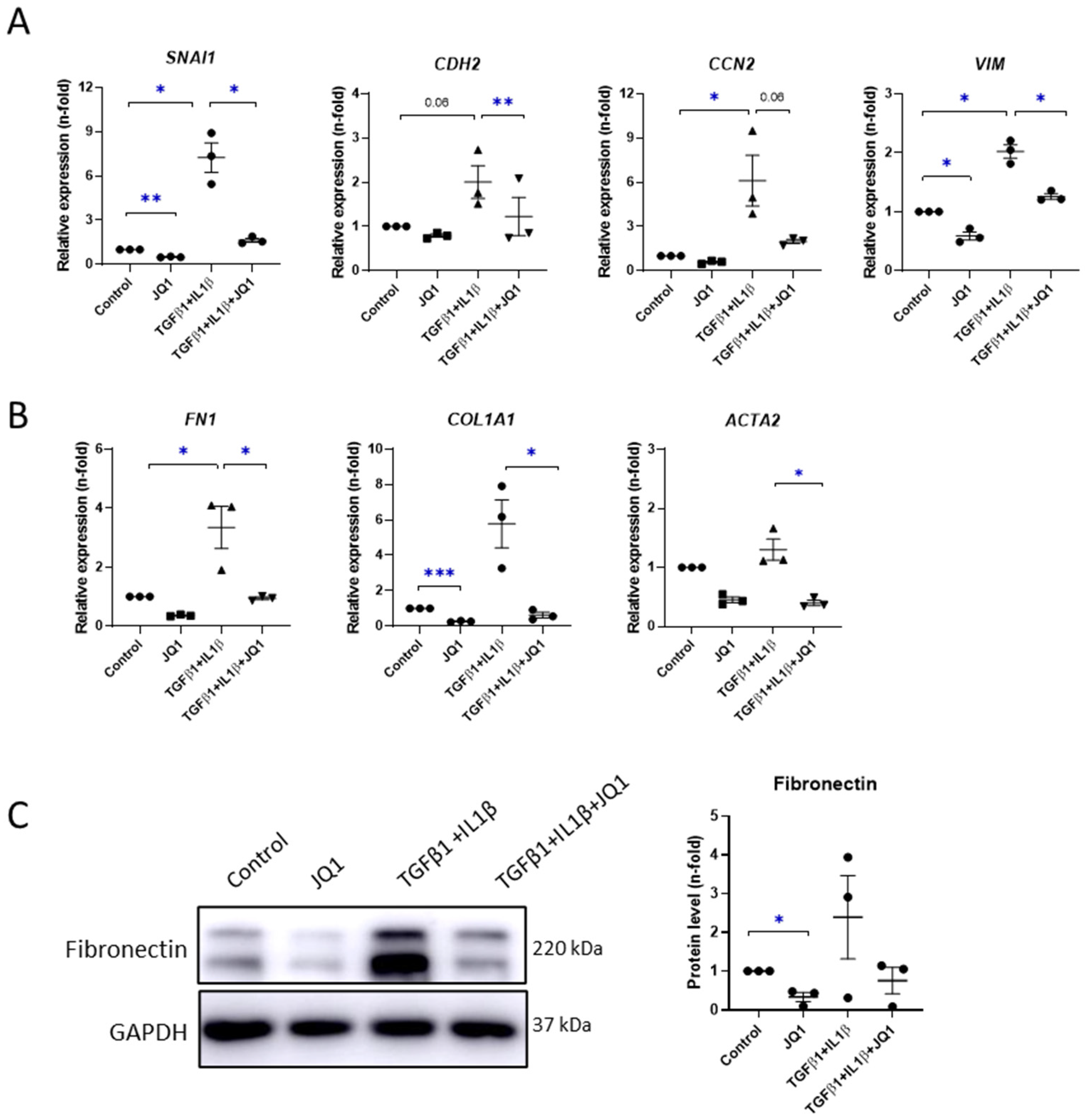 Antioxidants 12 02055 g005