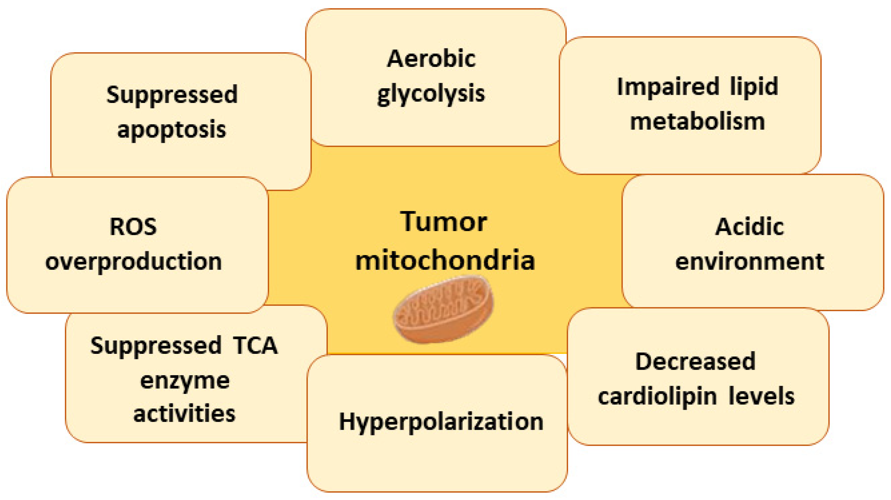 Antioxidants 12 02056 g003