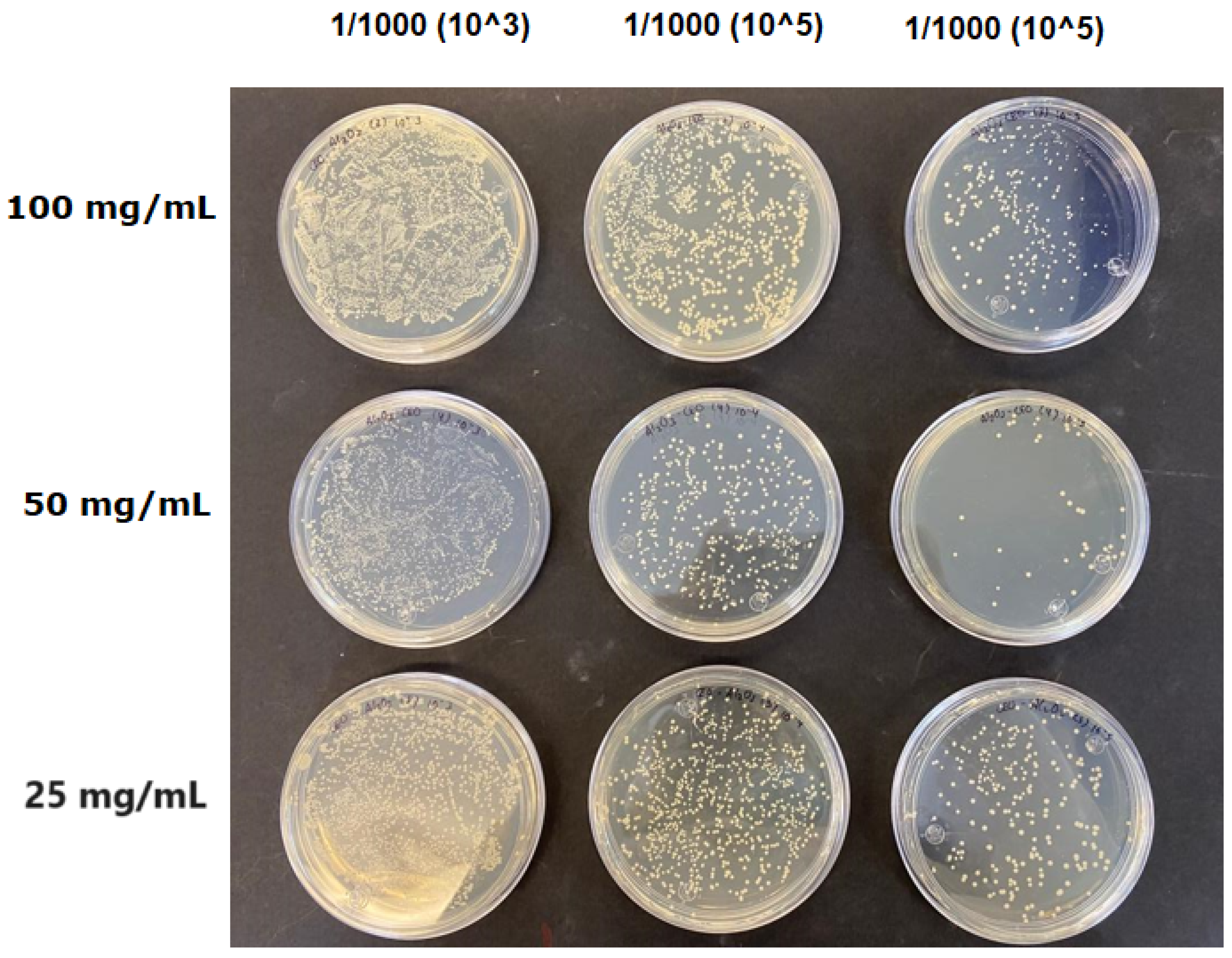 Antioxidants 12 02057 g008