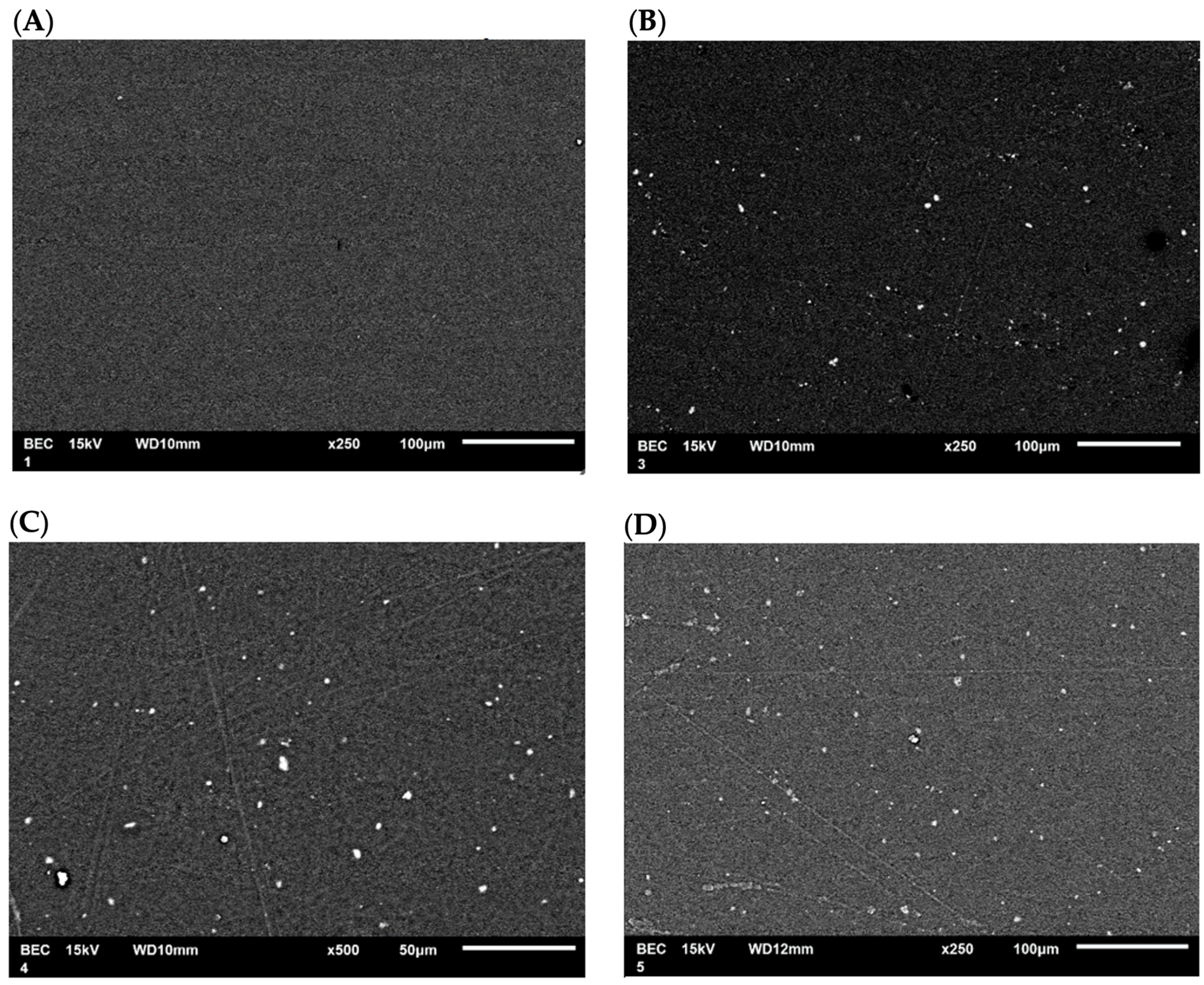 Antioxidants 12 02057 g011