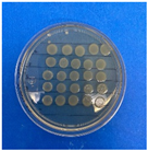 Antioxidants 12 02057 i002