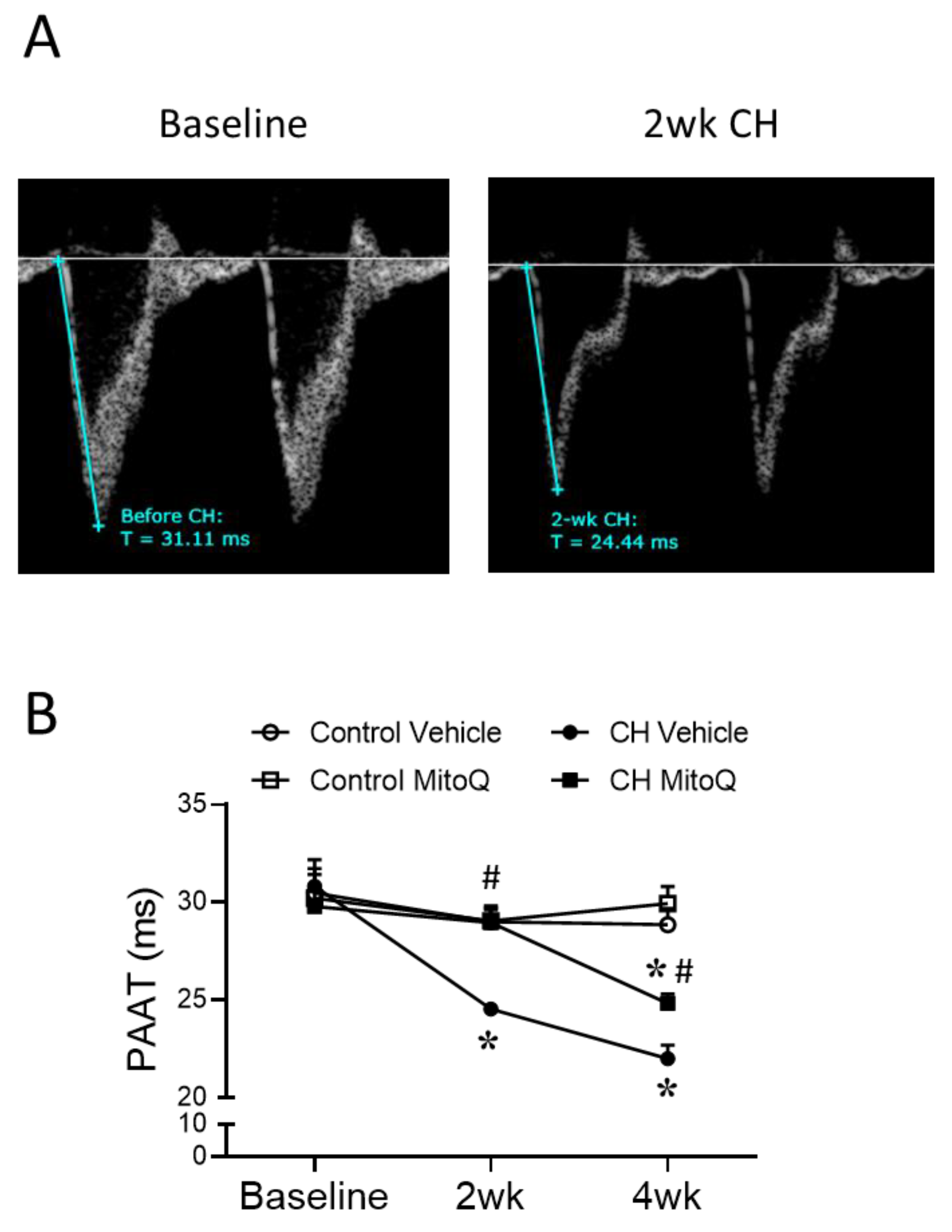 Antioxidants 12 02060 g002