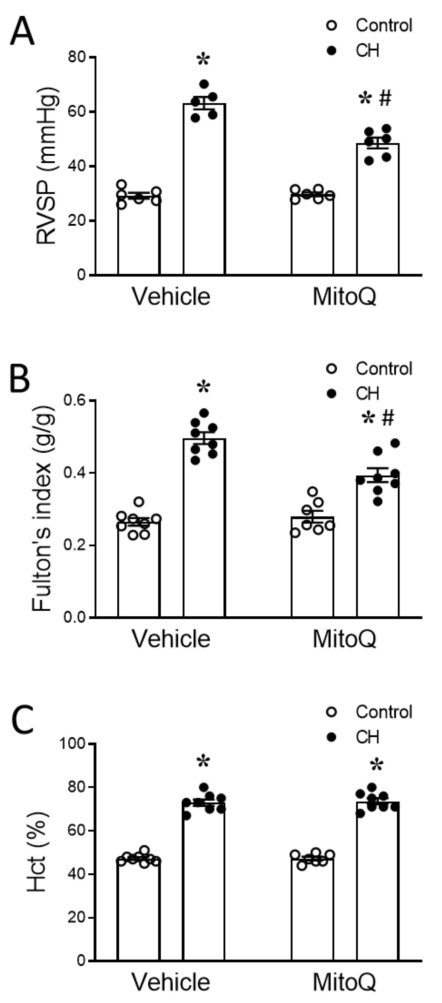 Antioxidants 12 02060 g003