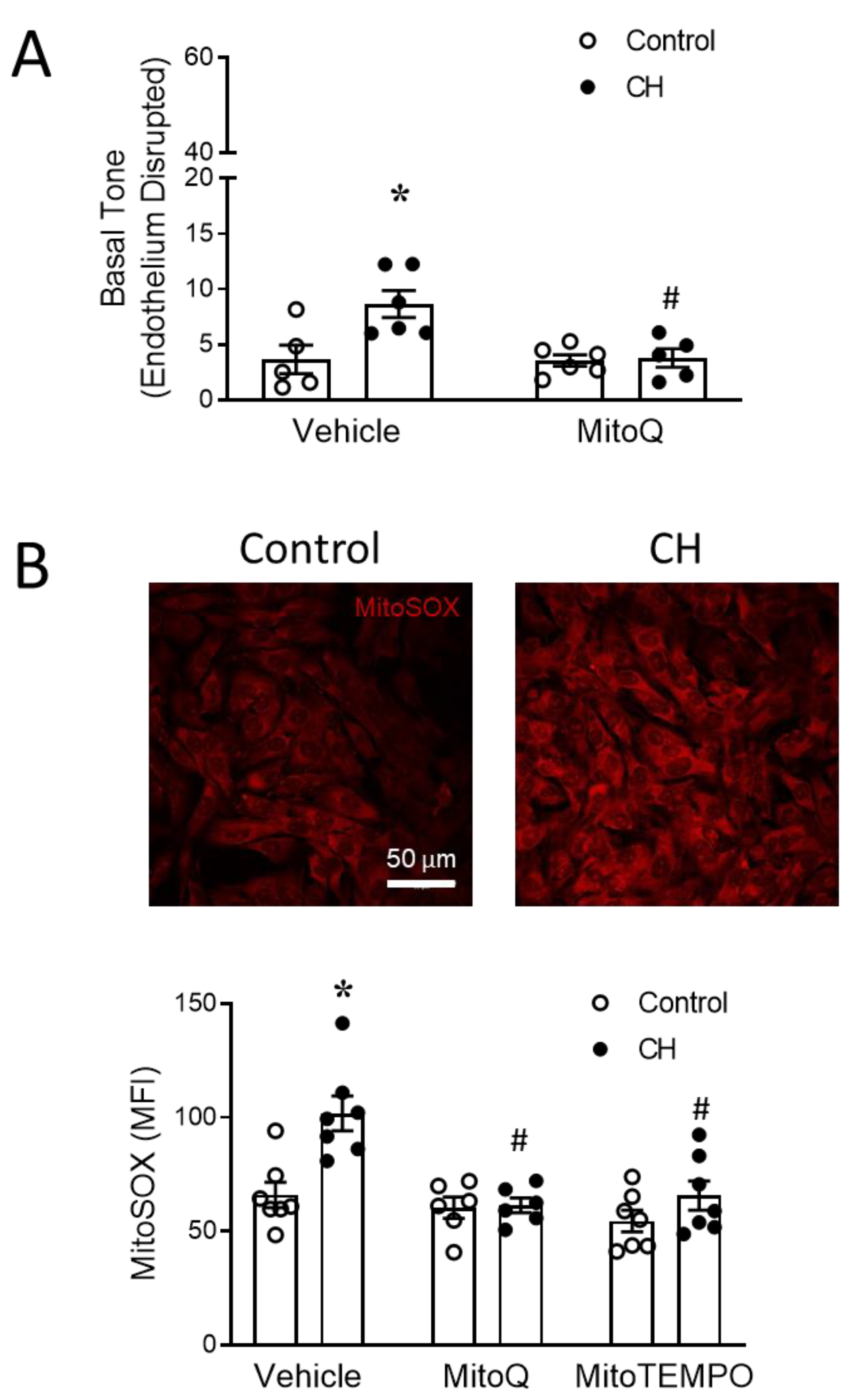 Antioxidants 12 02060 g006