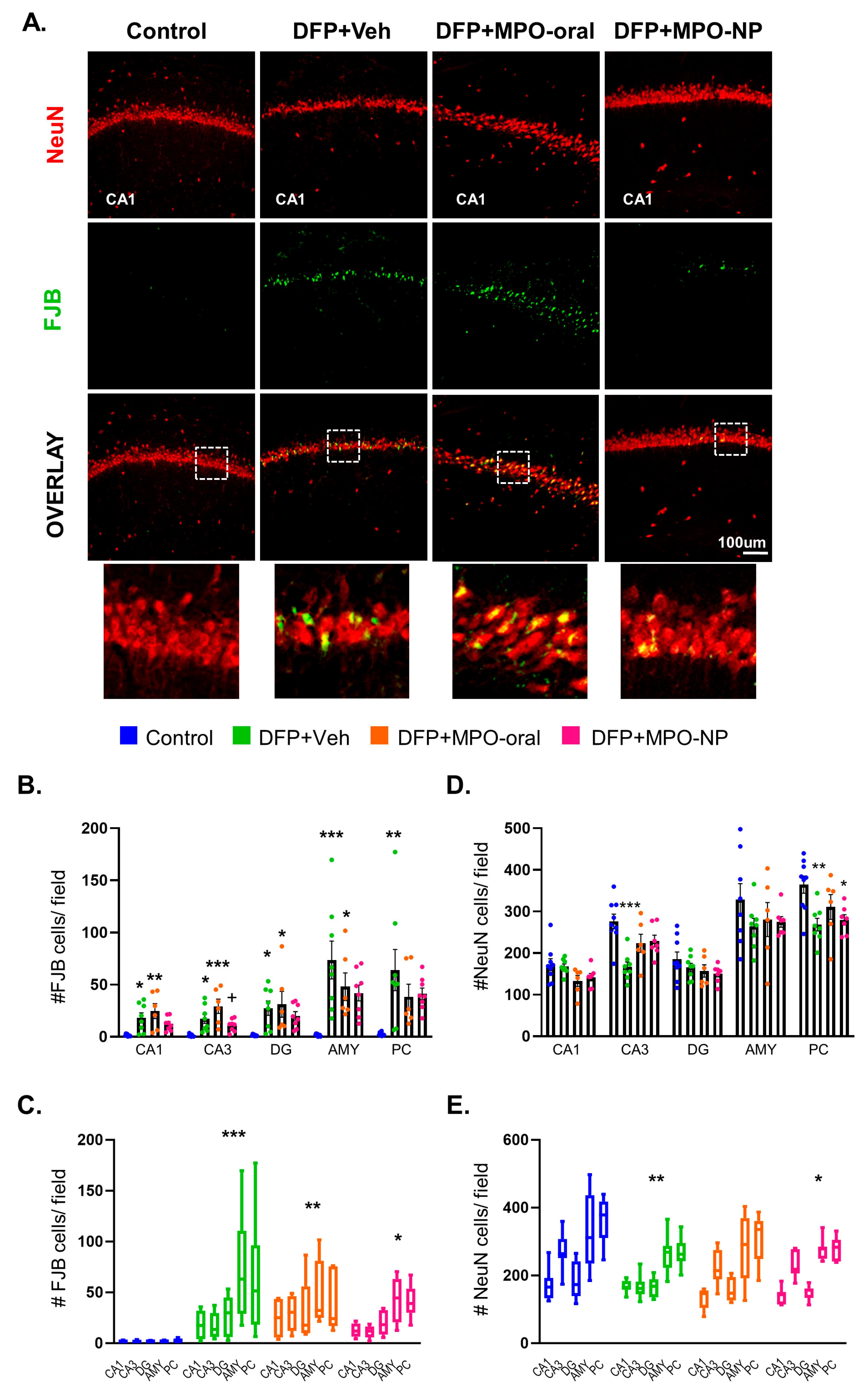 Antioxidants 12 02061 g004