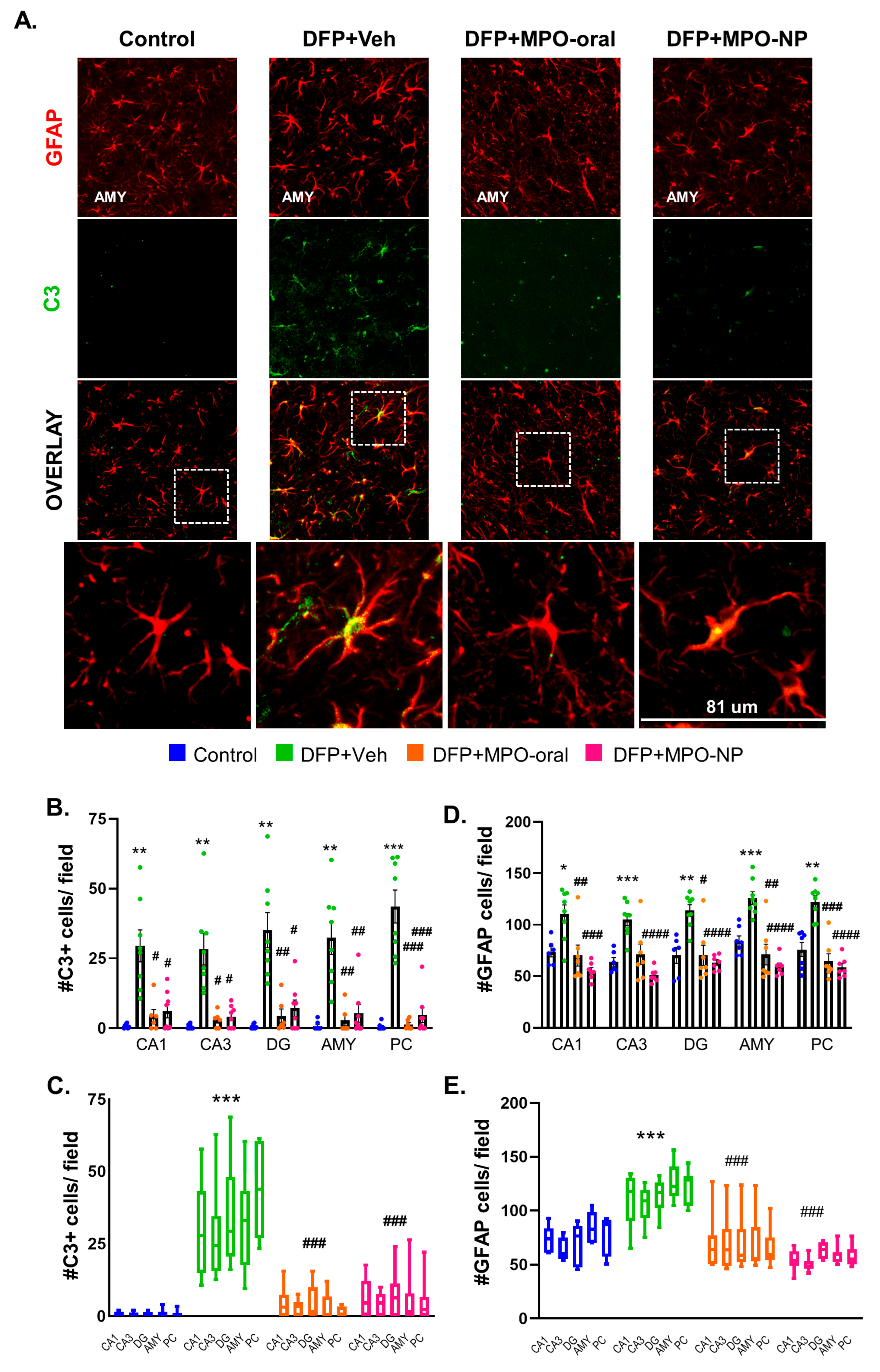 Antioxidants 12 02061 g008