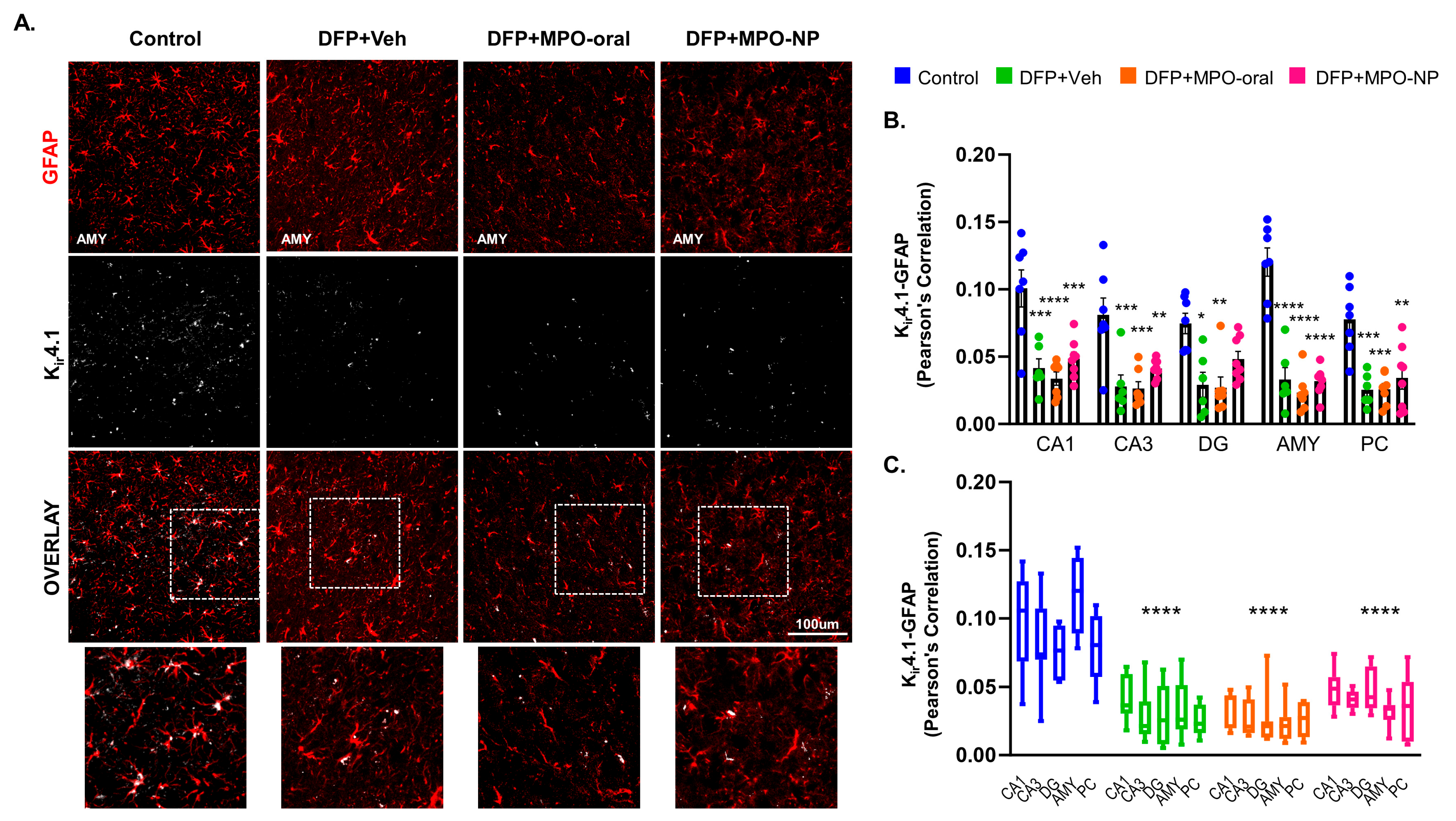 Antioxidants 12 02061 g009